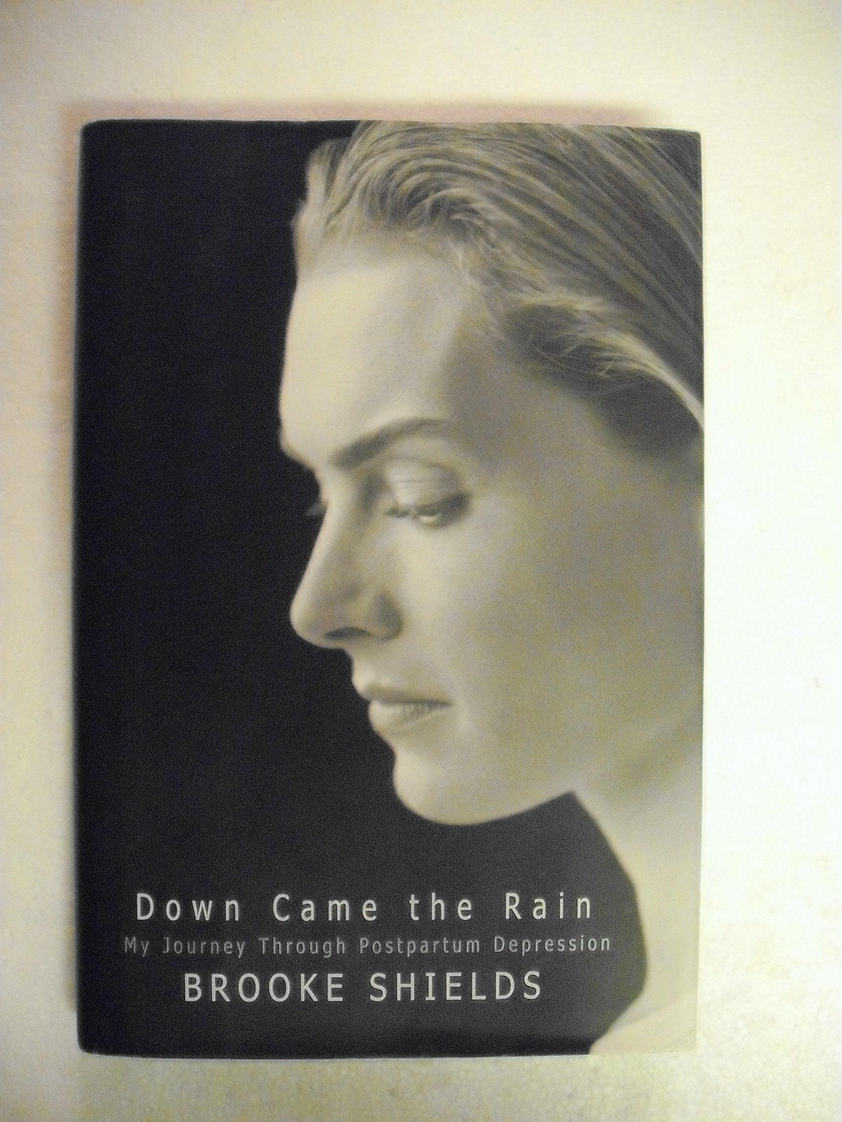 Down Came the Rain: My Journey Through Postpartum Depression used book depot