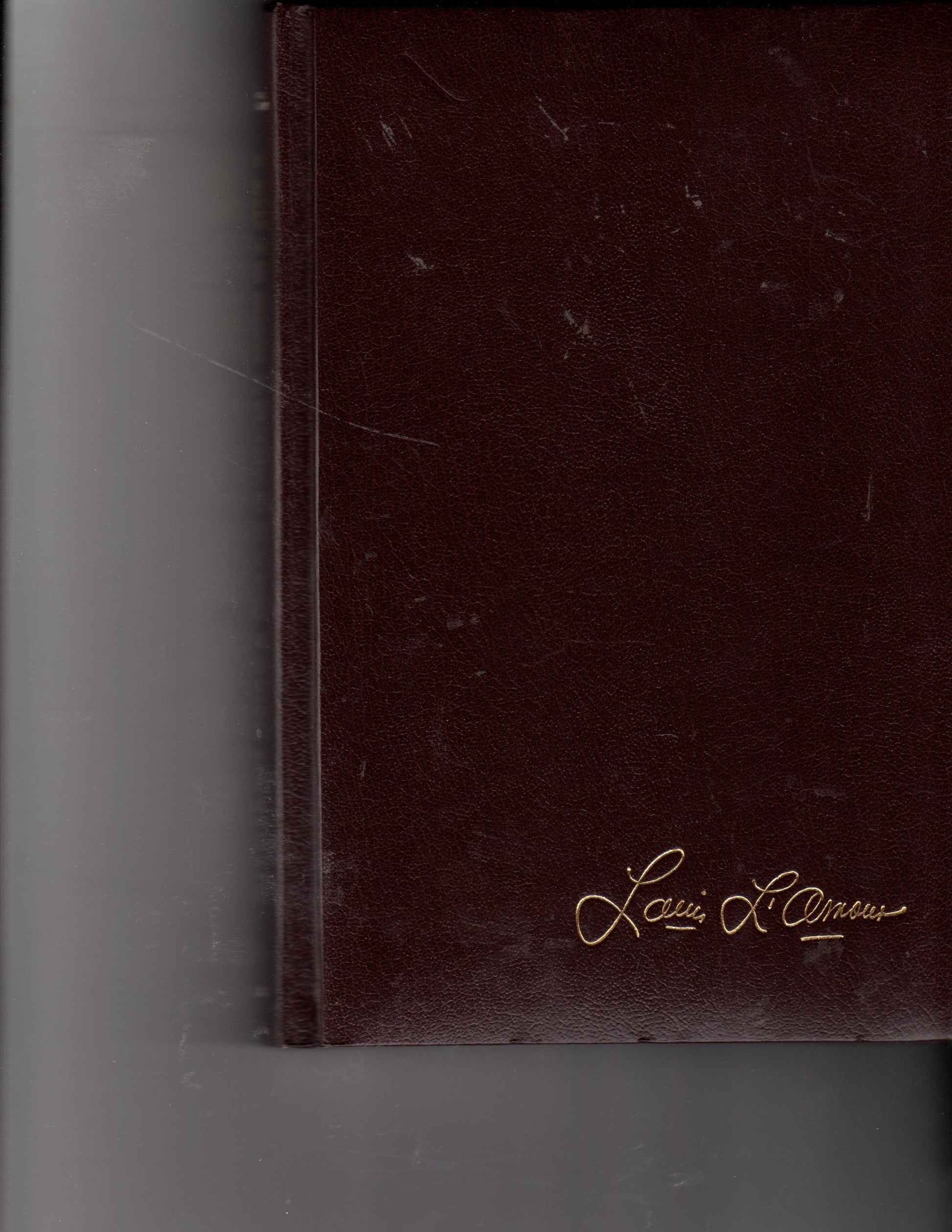 Law of the Desert Born (The Louis L'Amour Collection) used book depot