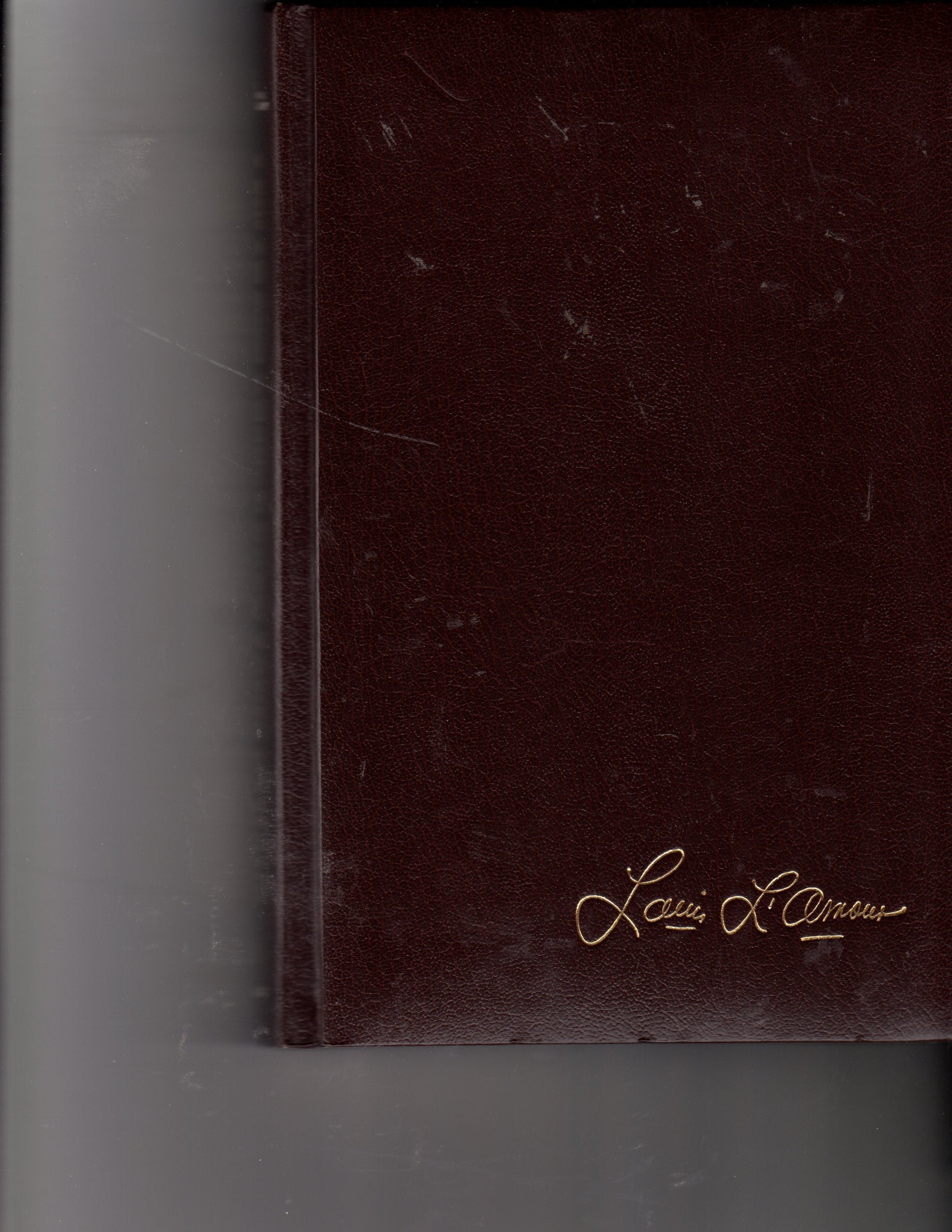 Law of the Desert Born (The Louis L'Amour Collection) used book depot