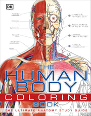 The Human Body Coloring Book: The Ultimate Anatomy Study Guide (DK Human Body Guides) used book depot