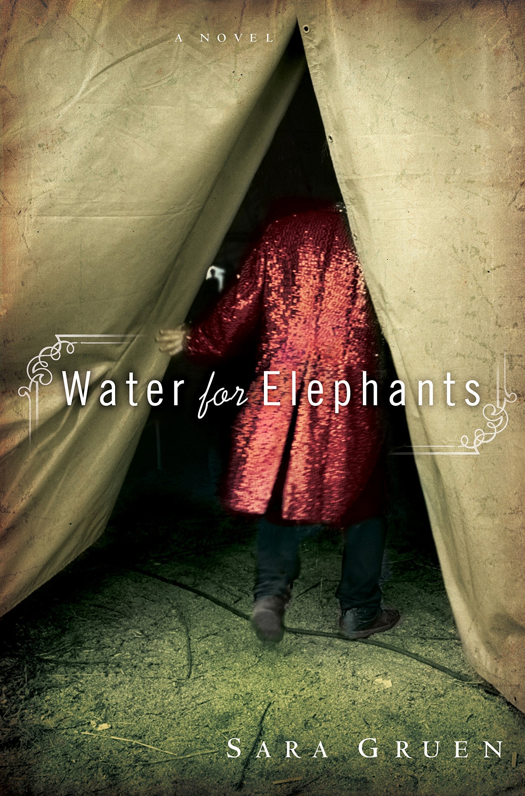 Water for Elephants: A Novel used book depot