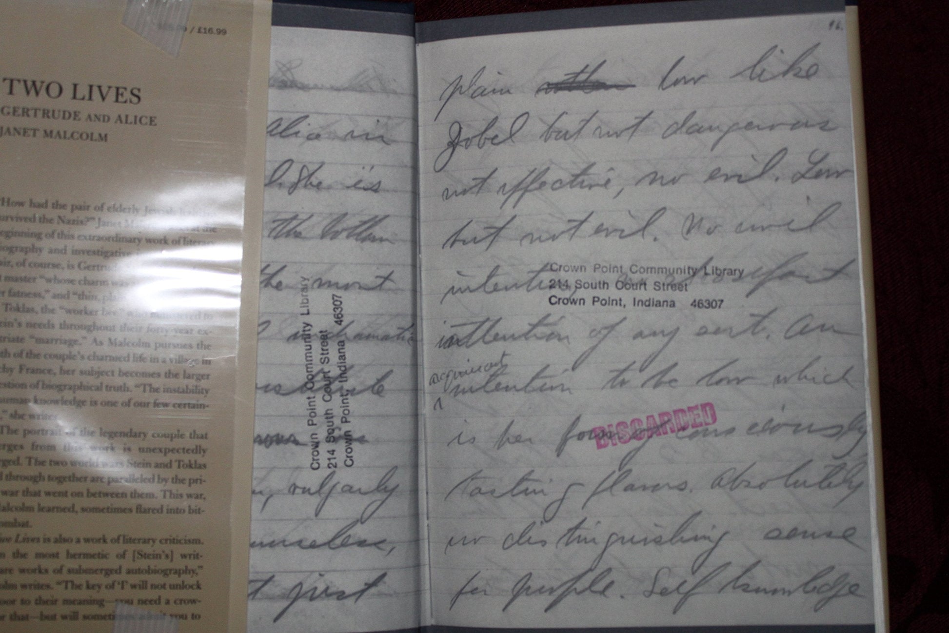 Two Lives: Gertrude and Alice used book depot