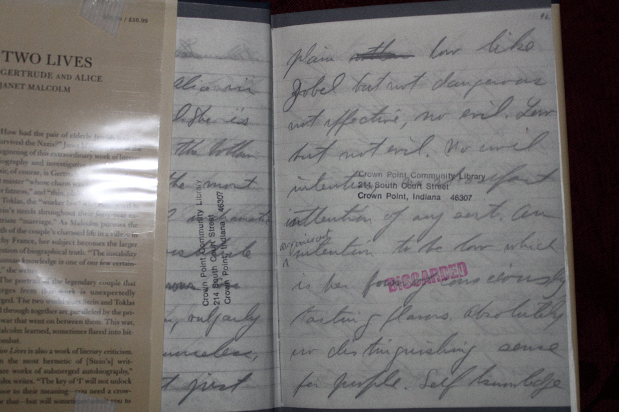 Two Lives: Gertrude and Alice used book depot