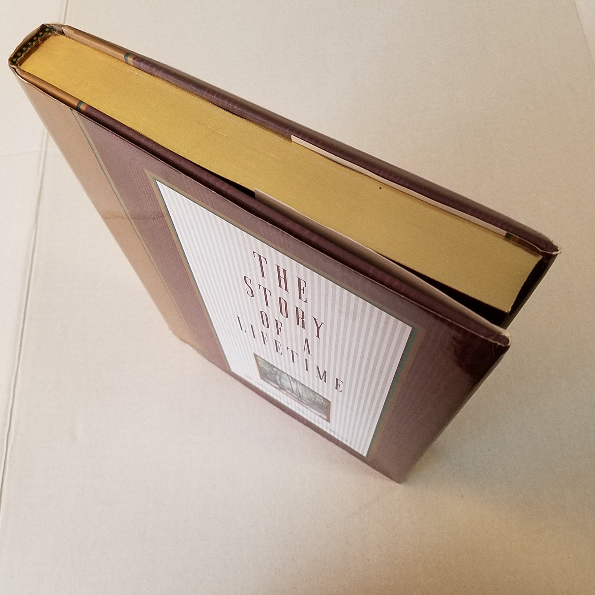 The Story of a Lifetime: A Keepsake of Personal Memoirs used book depot