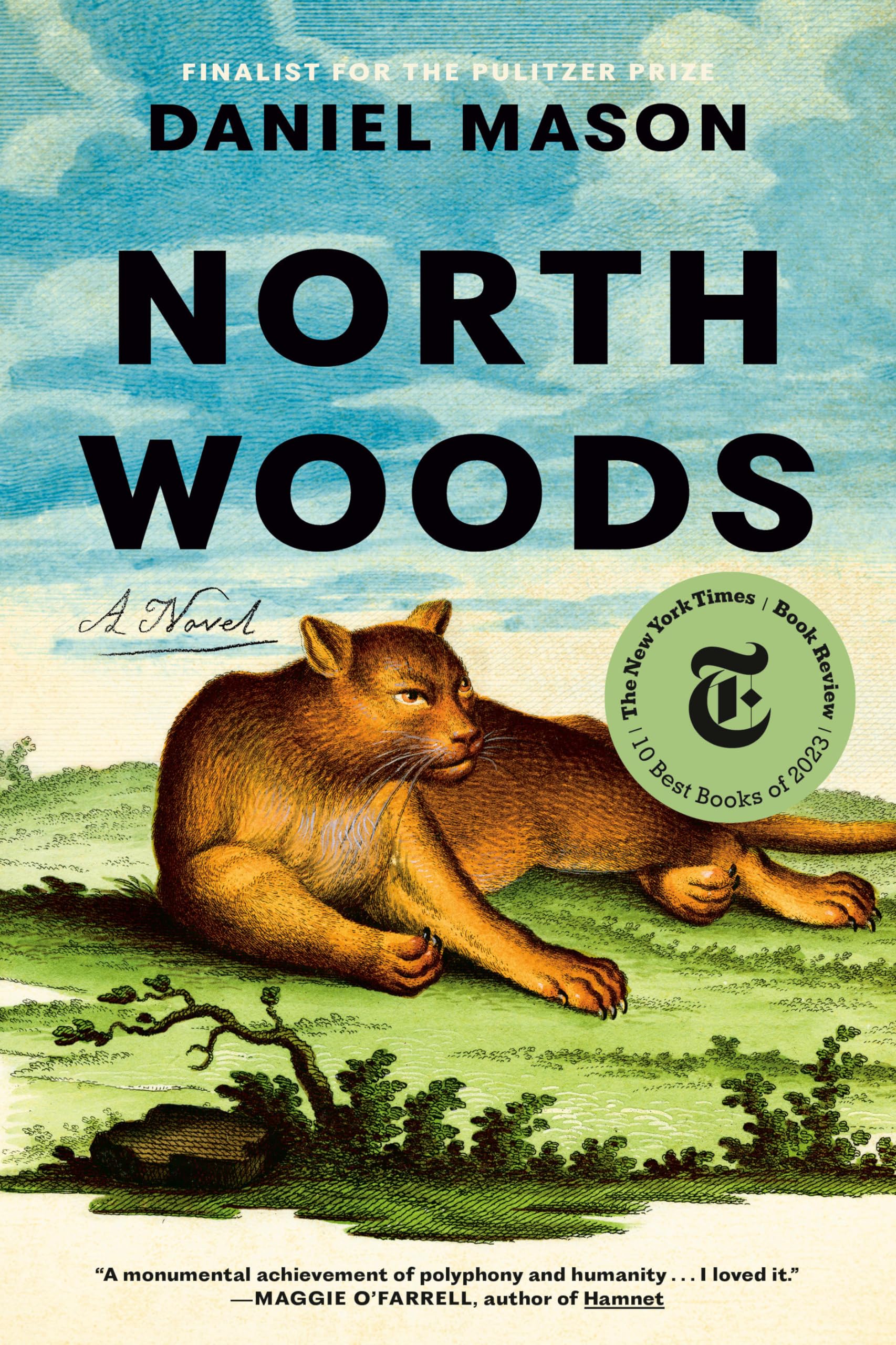 North Woods: A Novel used book depot