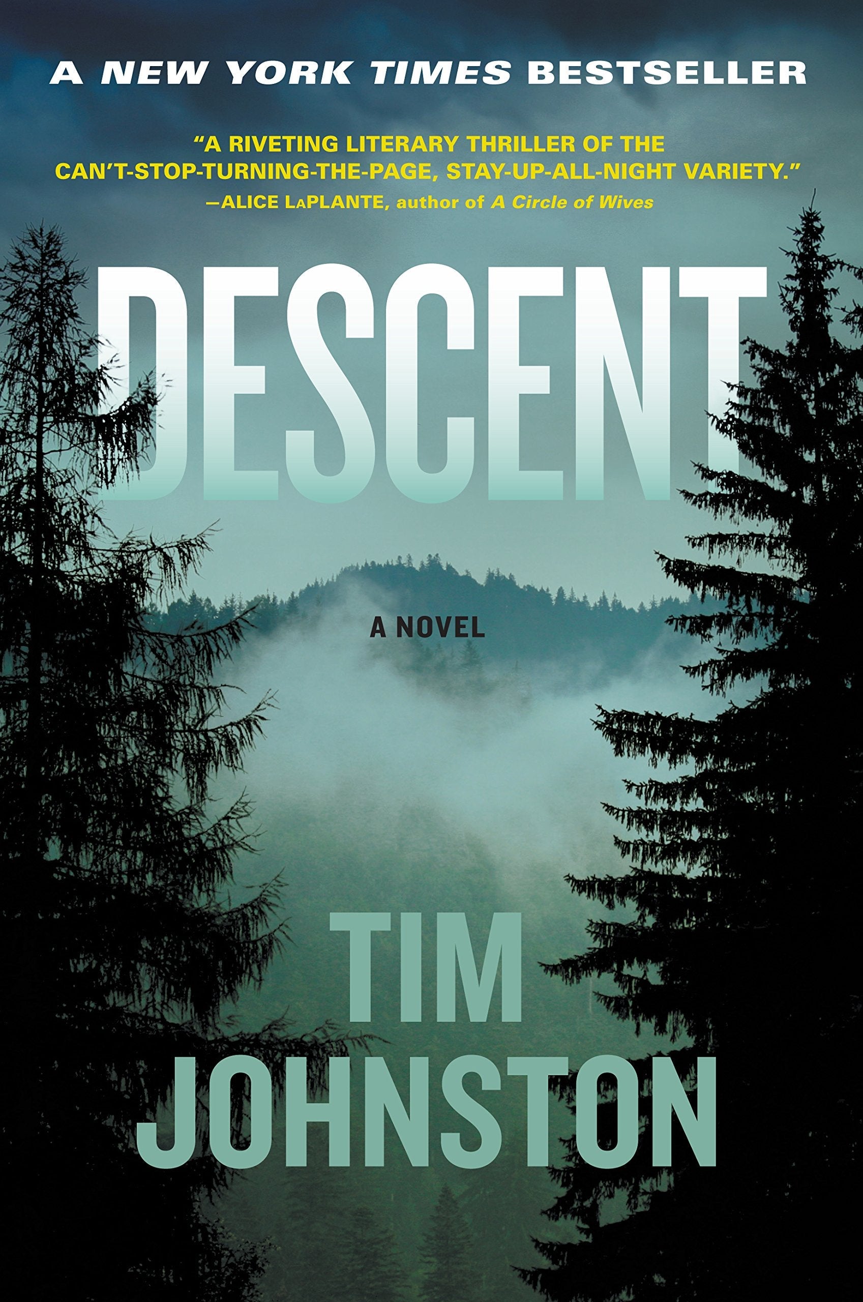 Descent: A Novel used book depot