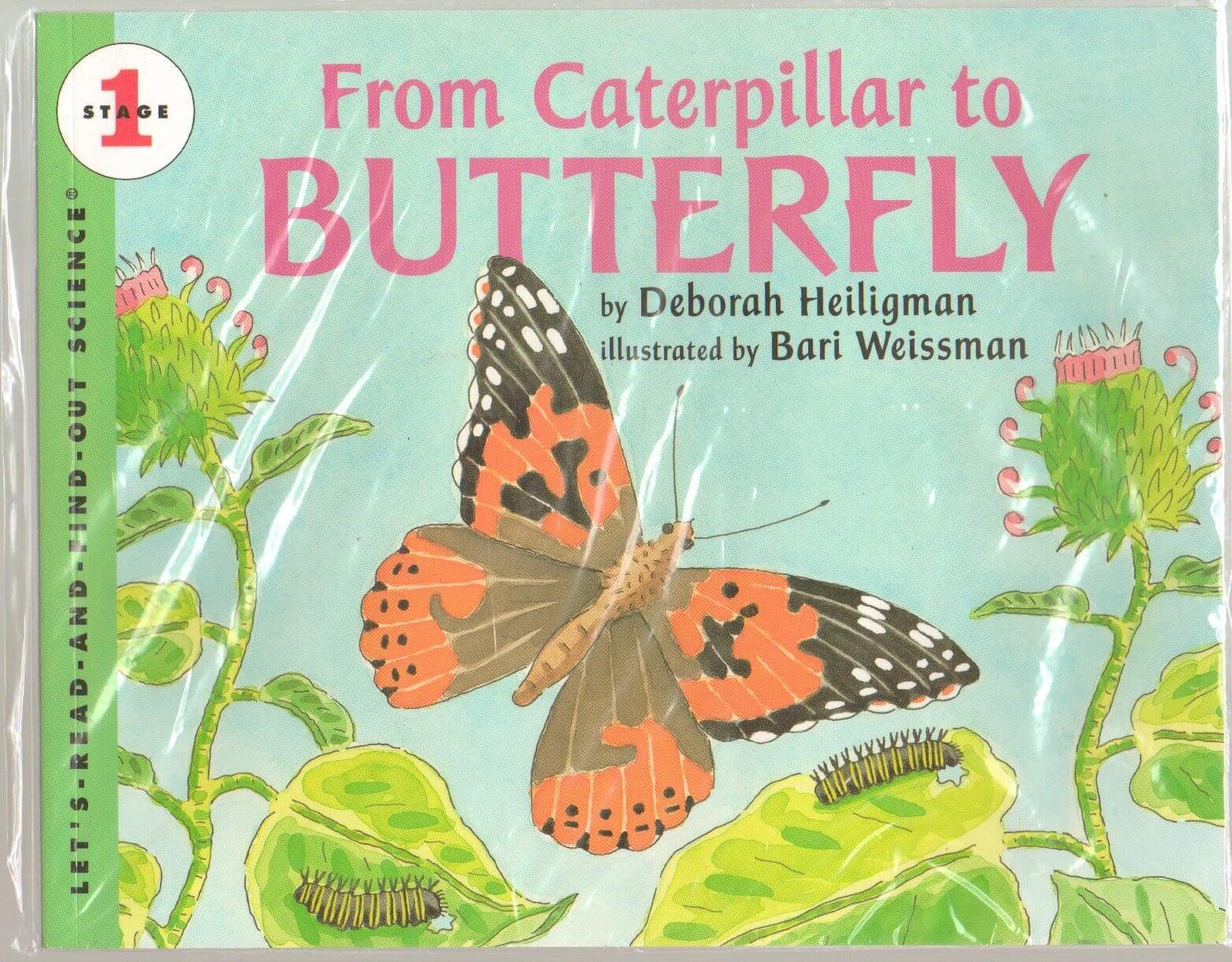 From Caterpillar to Butterfly (Let's-Read-and-Find-Out Science, Stage 1) used book depot