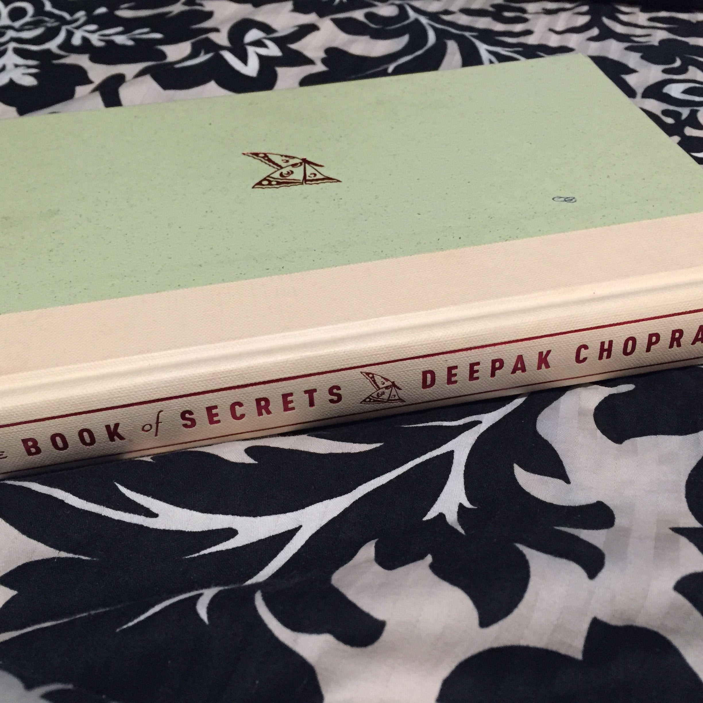 The Book of Secrets: Unlocking the Hidden Dimensions of Your Life used book depot