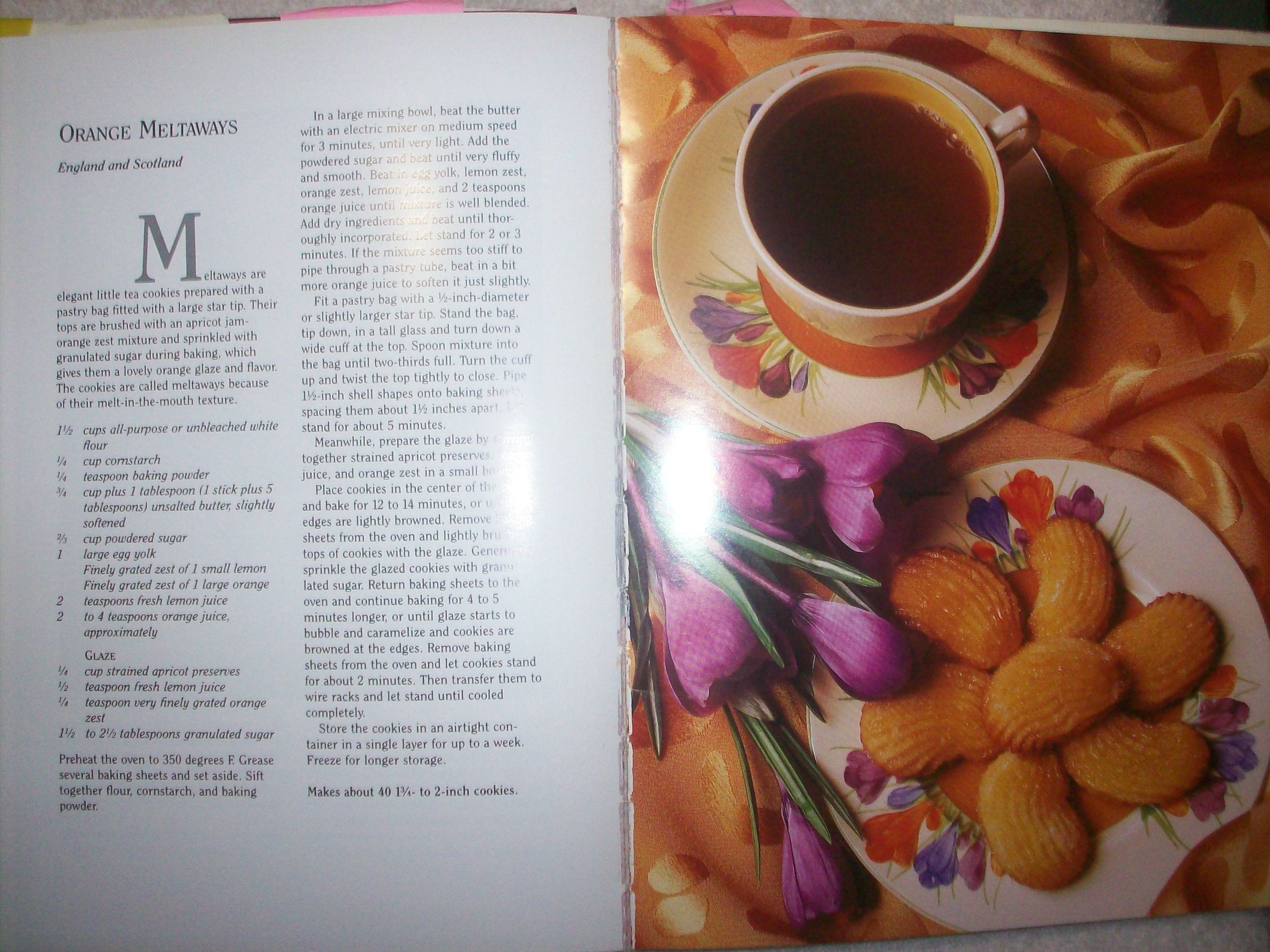 The International Cookie Cookbook used book depot