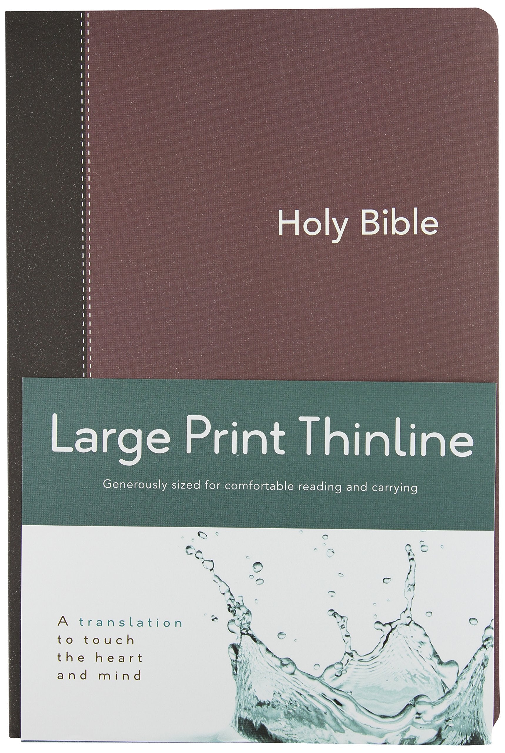 CEB Common English Bible Large Print Thinline Flex used book depot