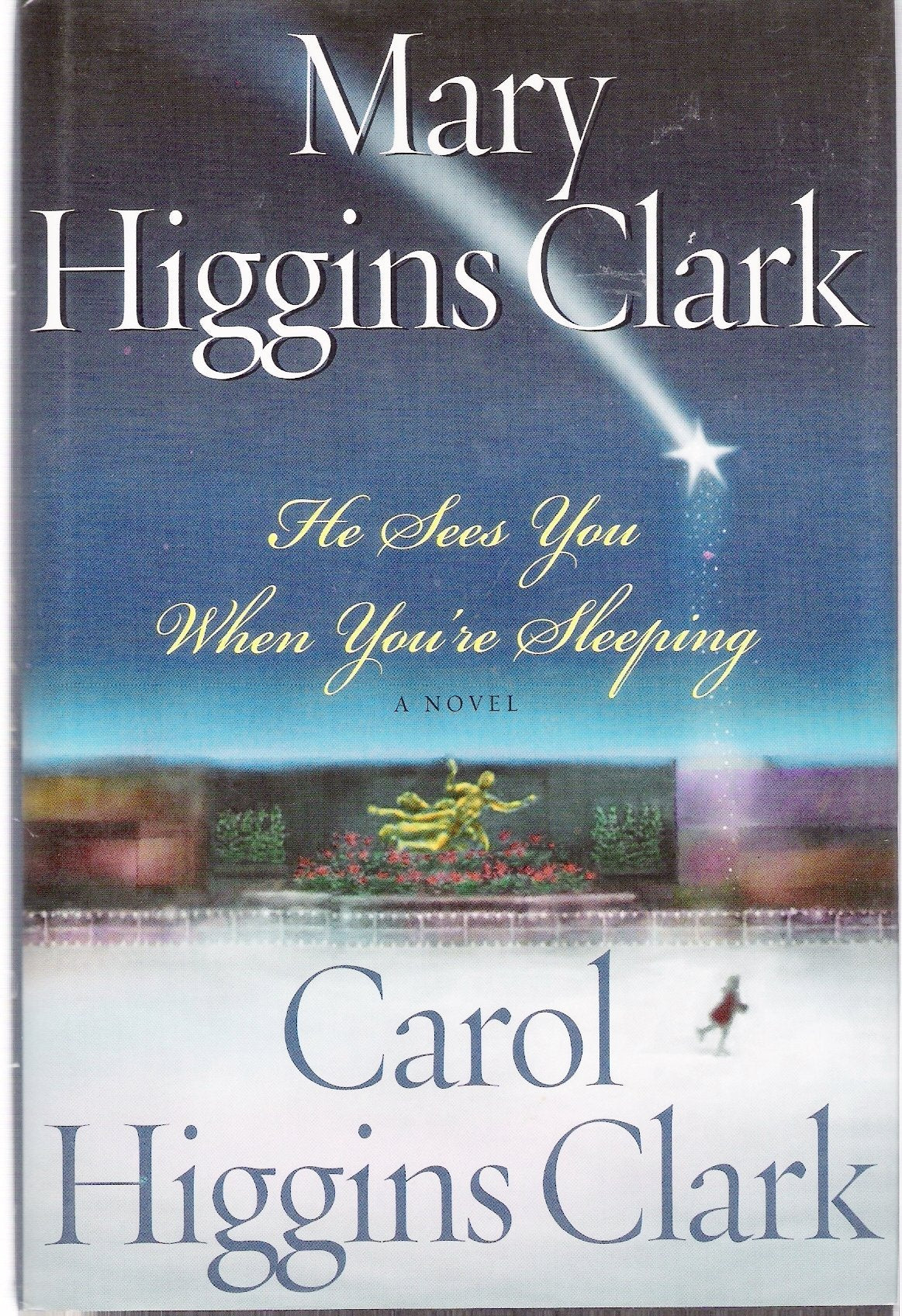 He Sees You When You're Sleeping: A Novel used book depot