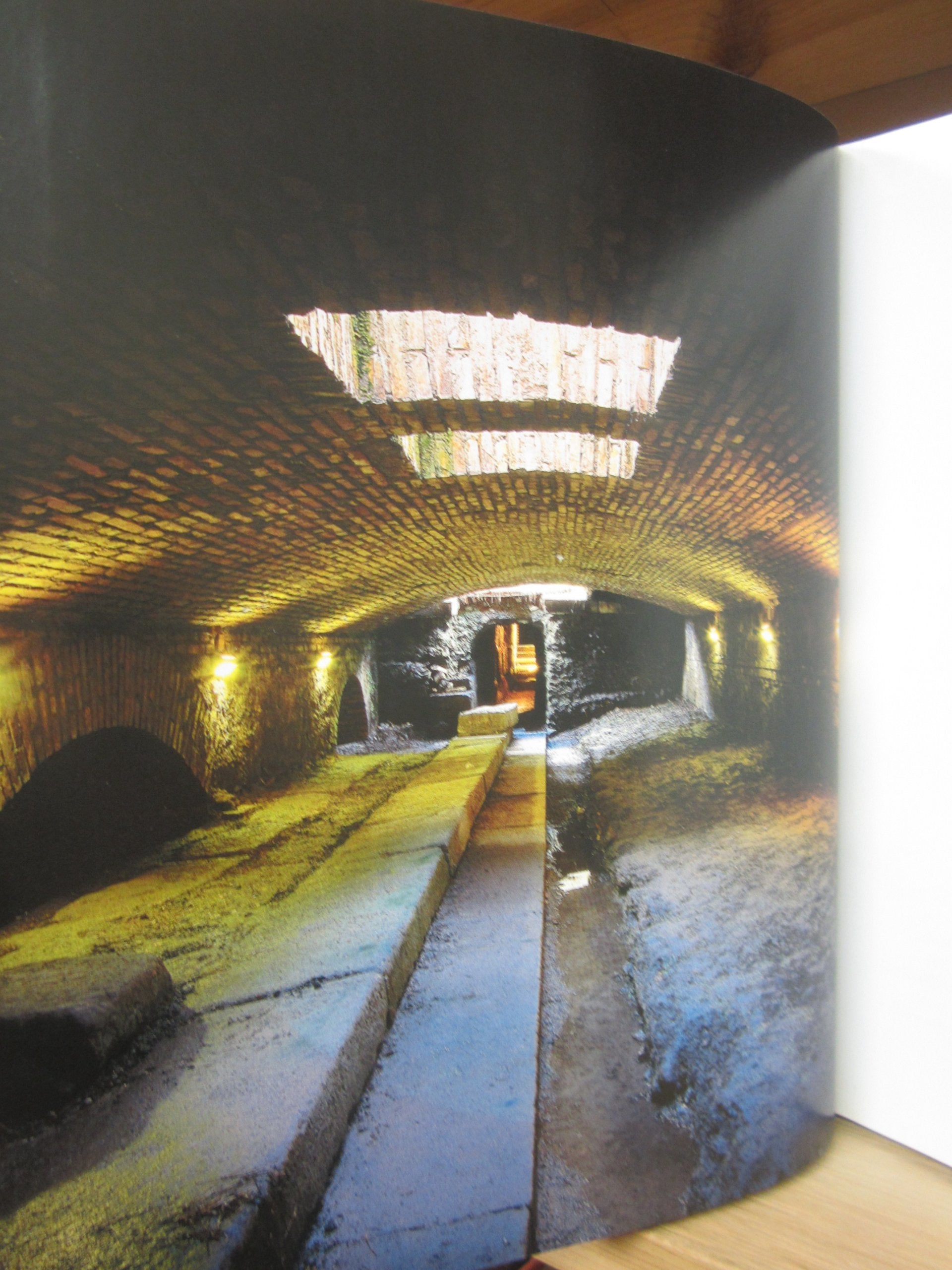 Subterranean Rome used book depot