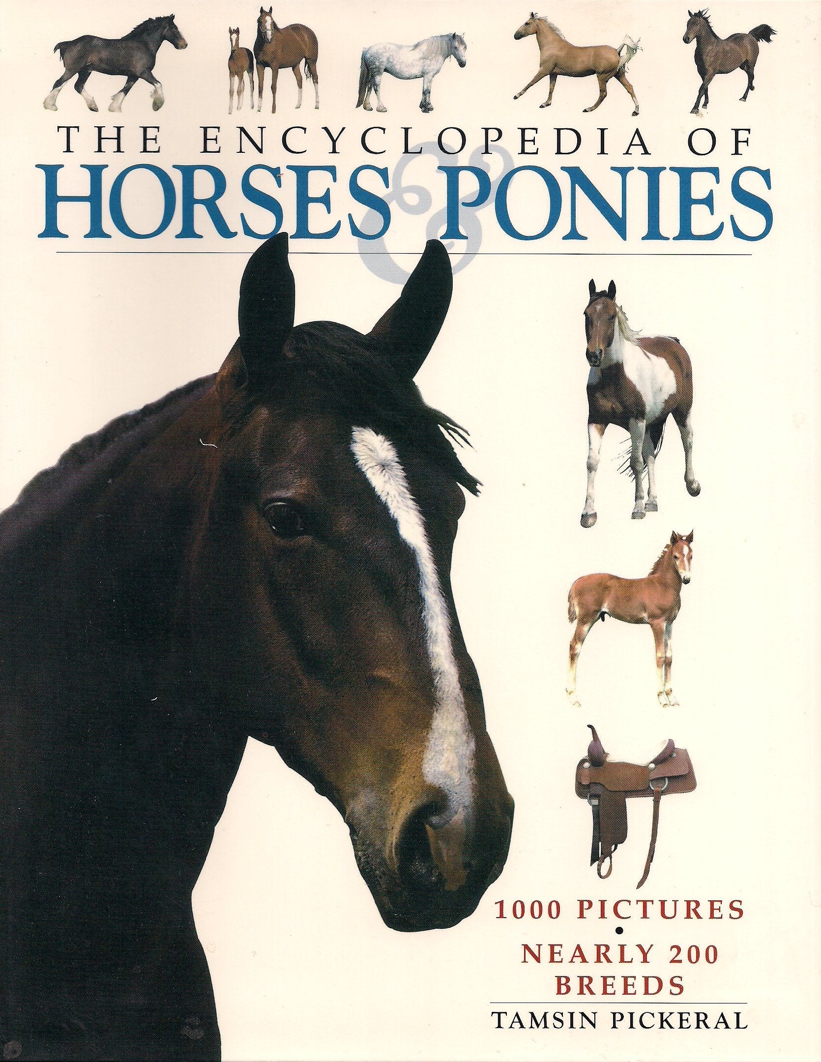 The Encyclopedia of Horses & Ponies used book depot