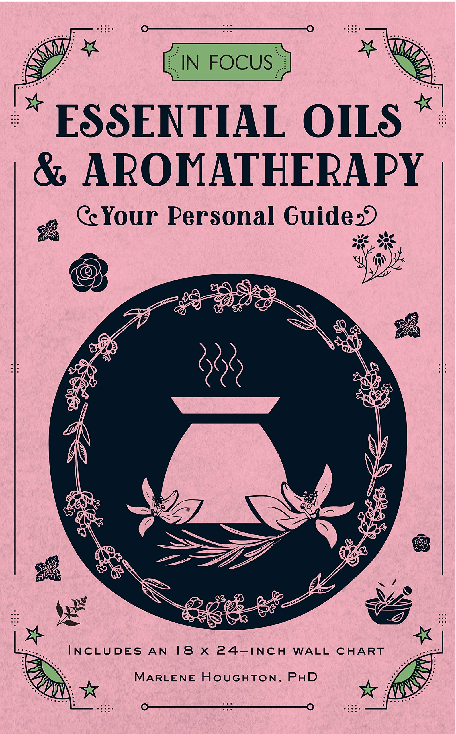 In Focus Essential Oils & Aromatherapy: Your Personal Guide (Volume 6) (In Focus, 6) used book depot