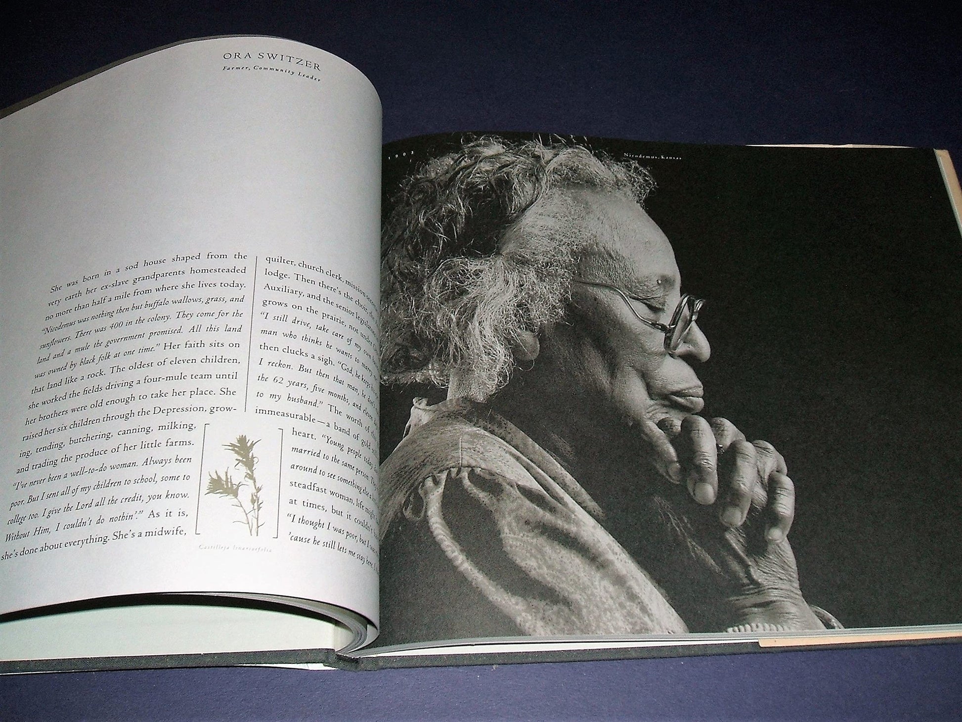 Quiet Pride: Ageless Wisdom of the American West used book depot