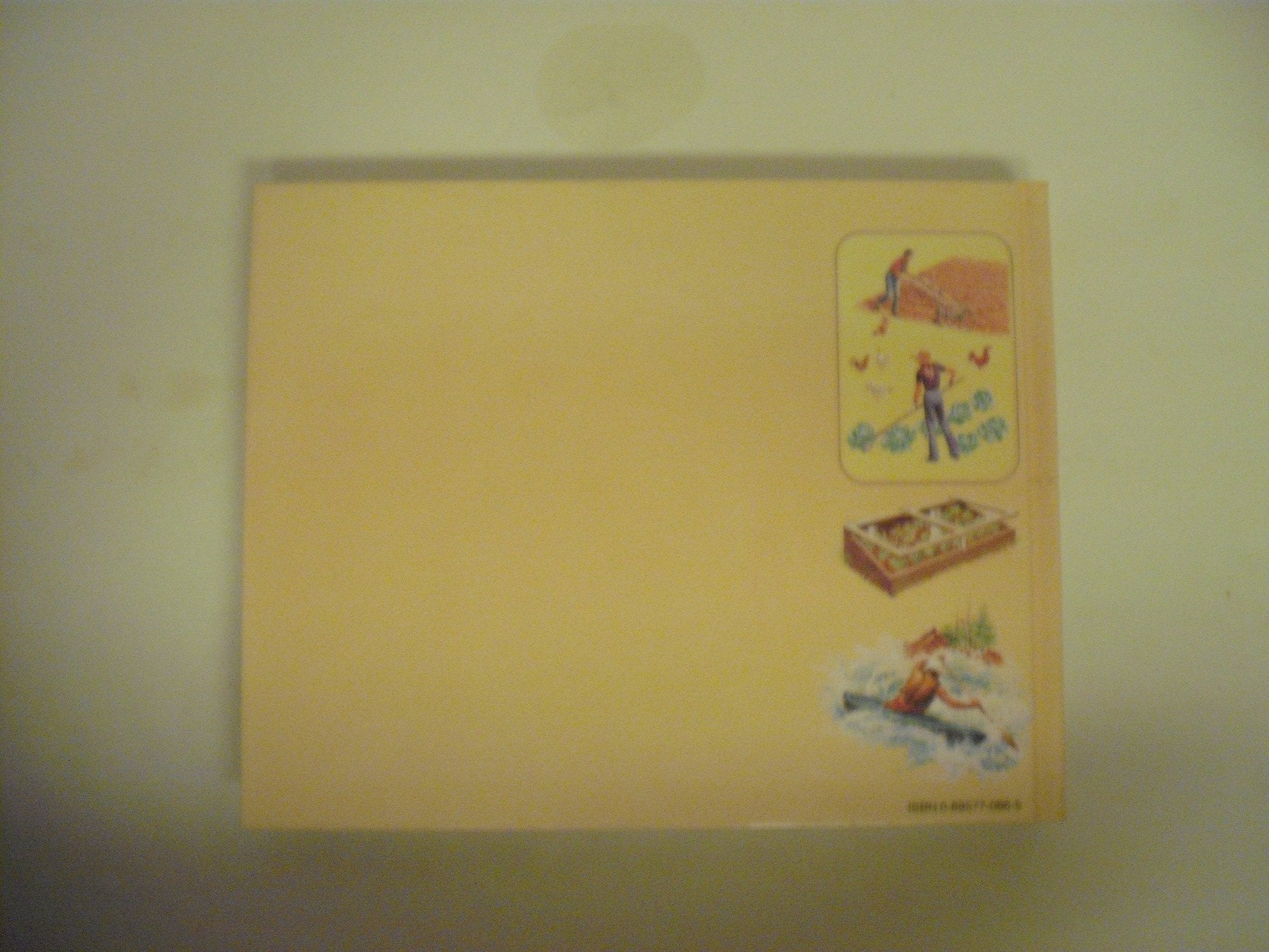 Back to Basics: How to Learn and Enjoy Traditional American Skills used book depot