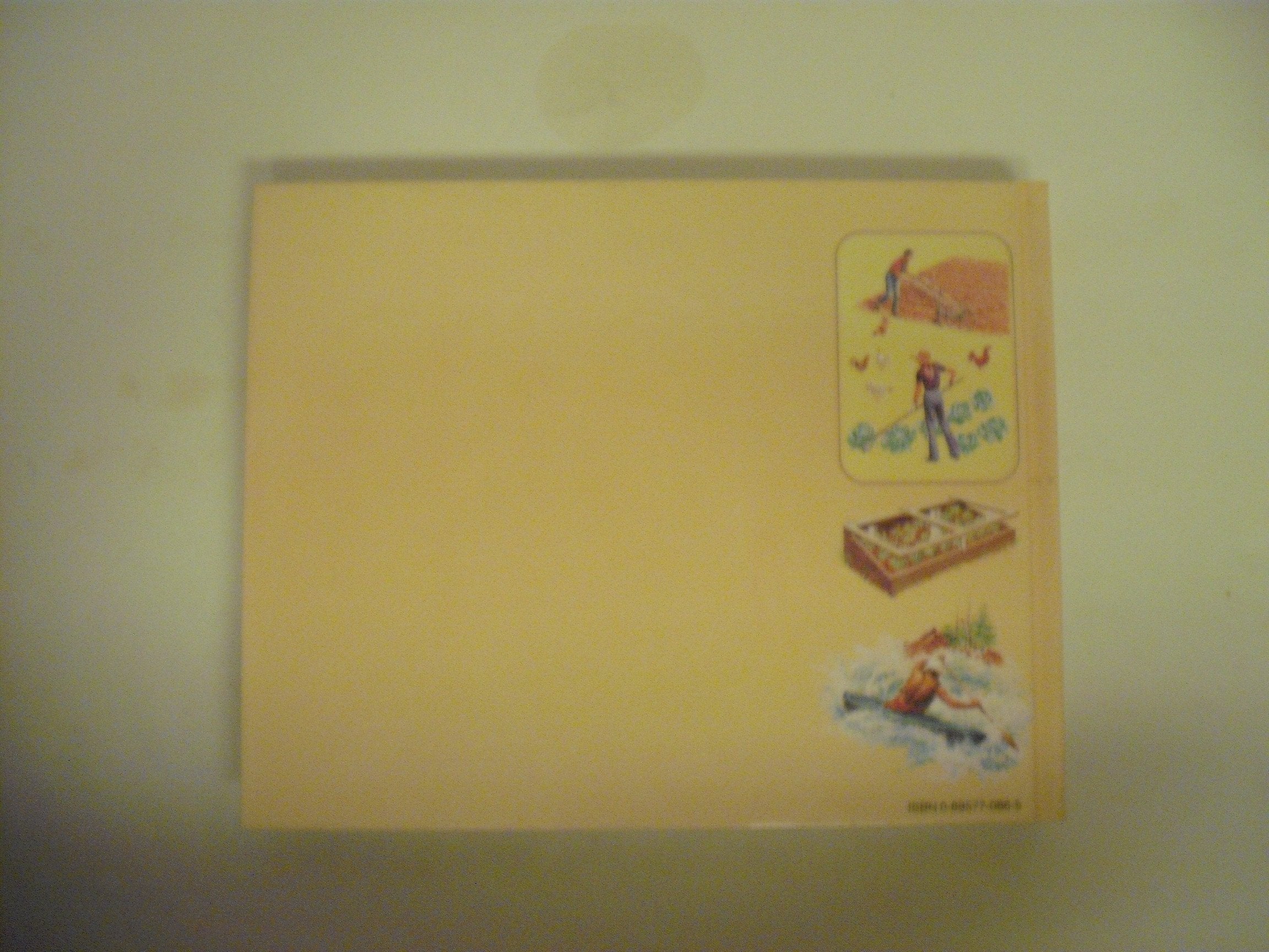 Back to Basics: How to Learn and Enjoy Traditional American Skills used book depot