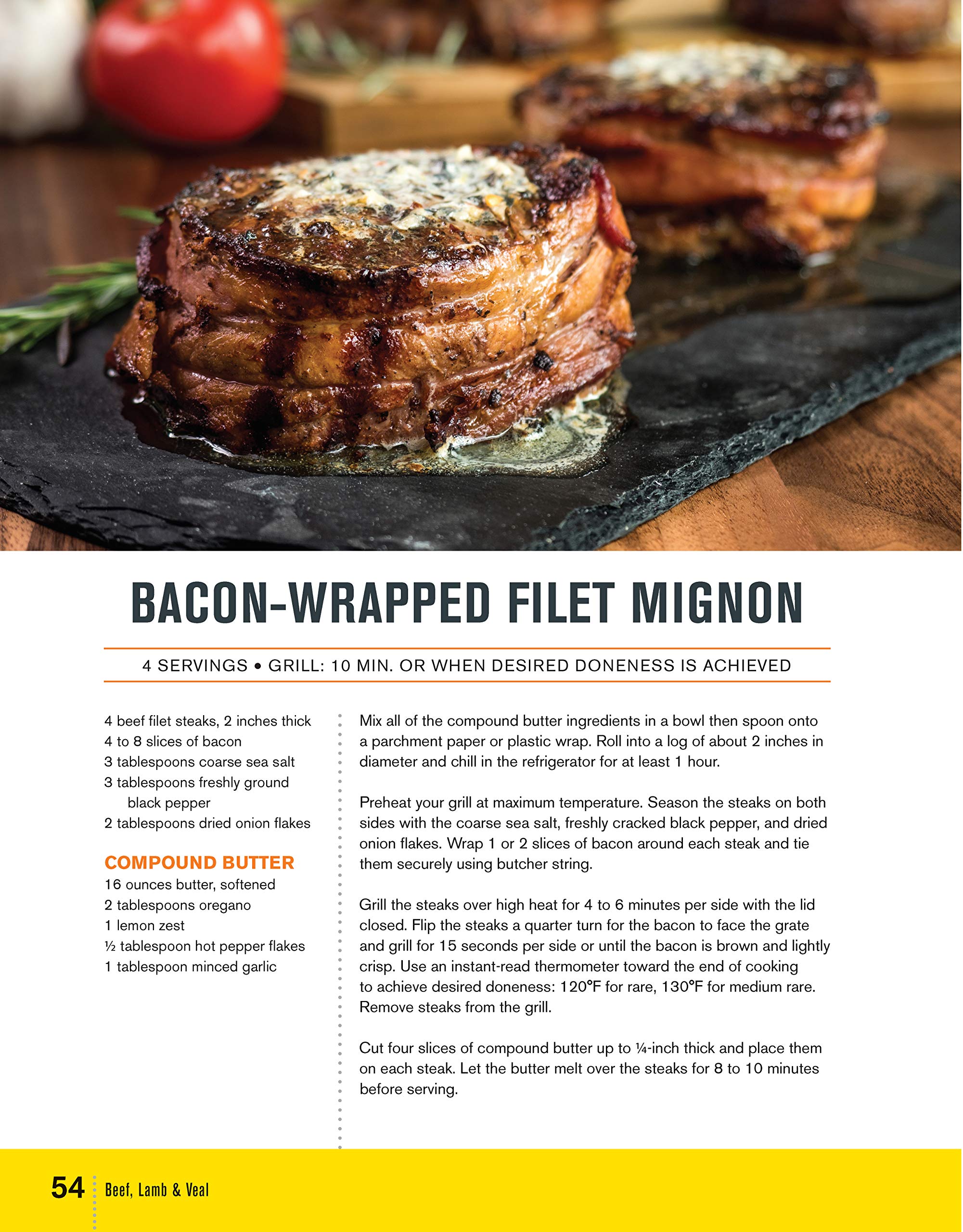 Char-Broil Great Book of Grilling: 300 Tasty Recipes for Every Meal: Delicious Appetizers, Meat, Veggies & More (Creative Homeowner) Over 300 Mouthwatering Photos & Easy-to-Make Recipes for Y used book depot