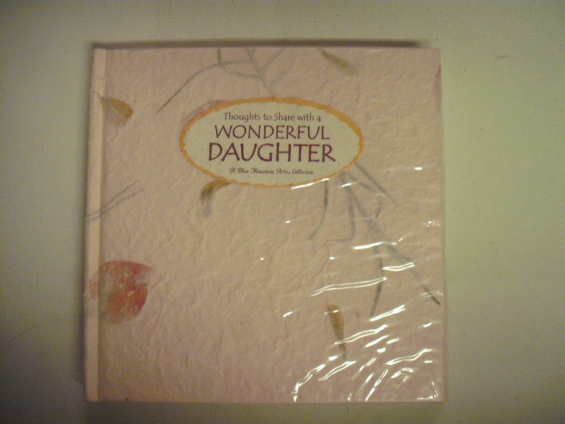 Thoughts to Share With a Wonderful Daughter: A Blue Mountain Arts Collection (Language of Series) used book depot