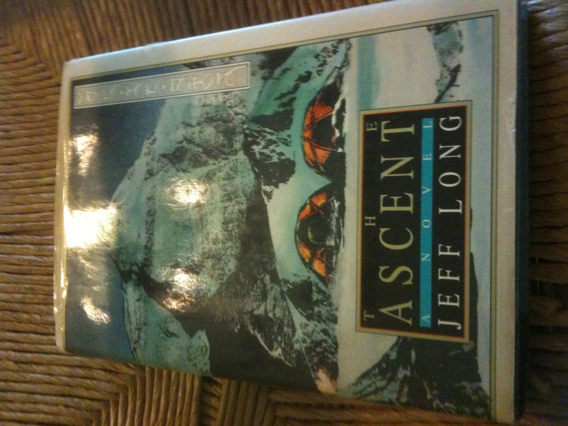 The Ascent: A Novel used book depot