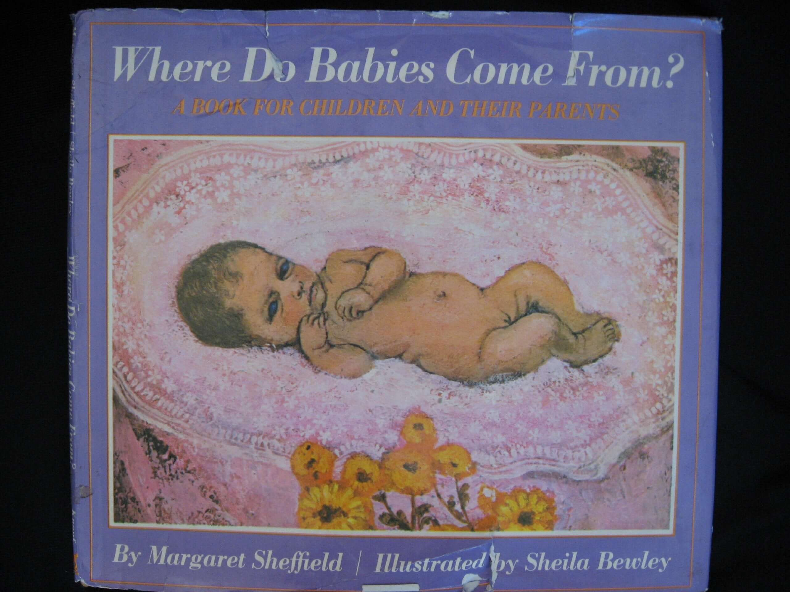 Where Do Babies Come From? used book depot