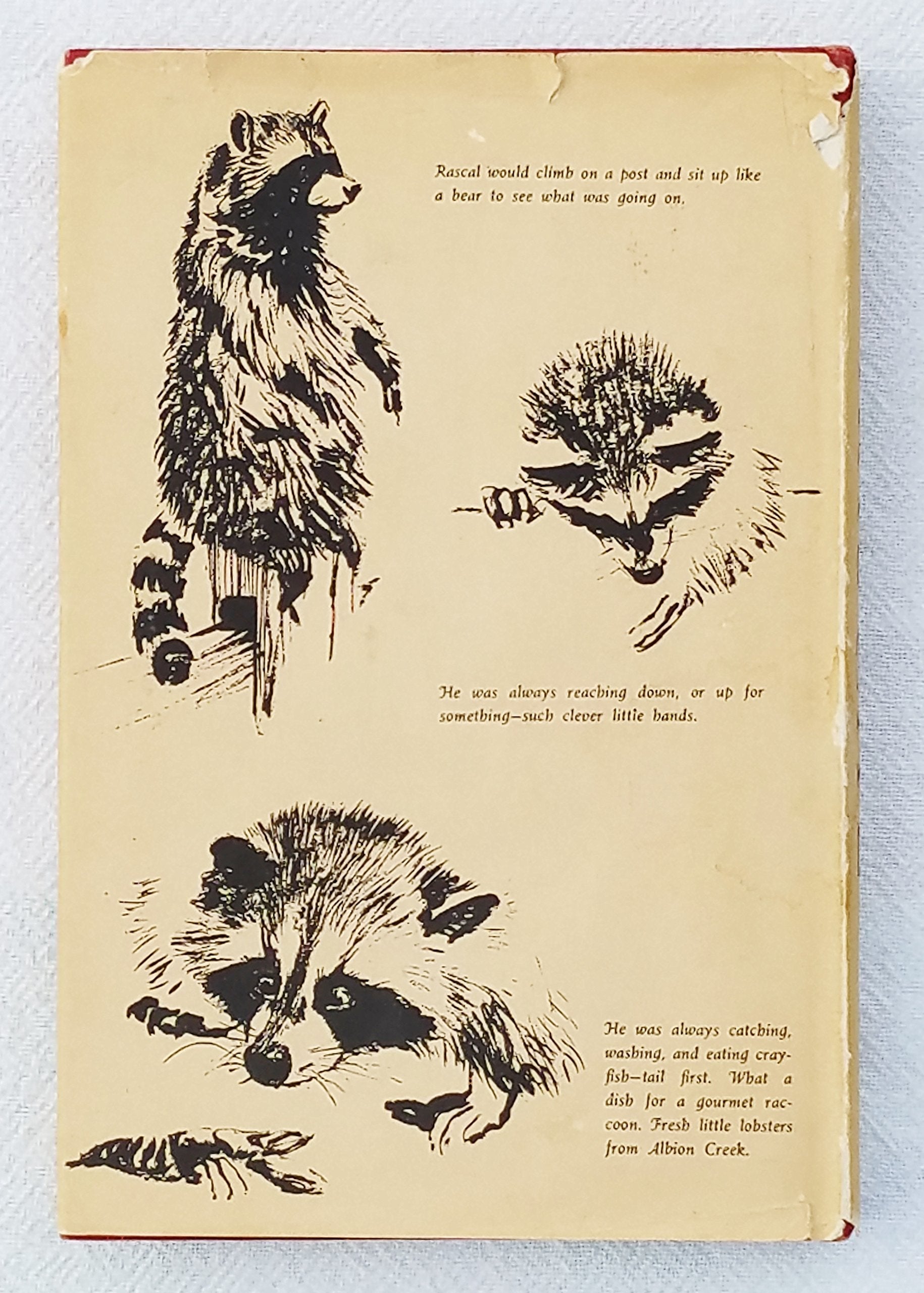 Rascal: A Memoir of a Better Era used book depot