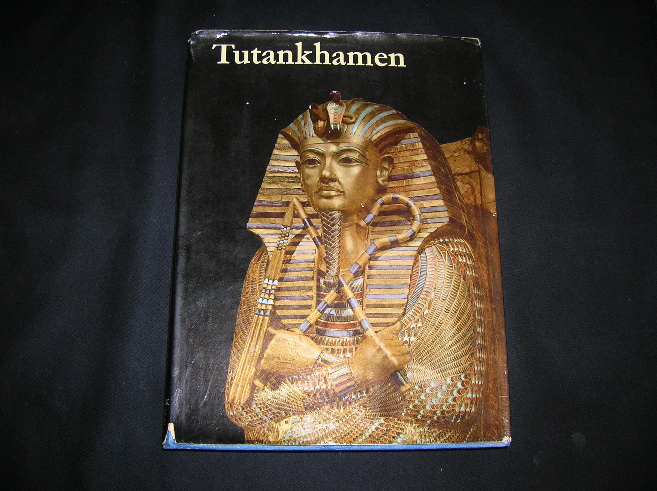 Tutankhamen: Life and Death of a Pharaoh used book depot