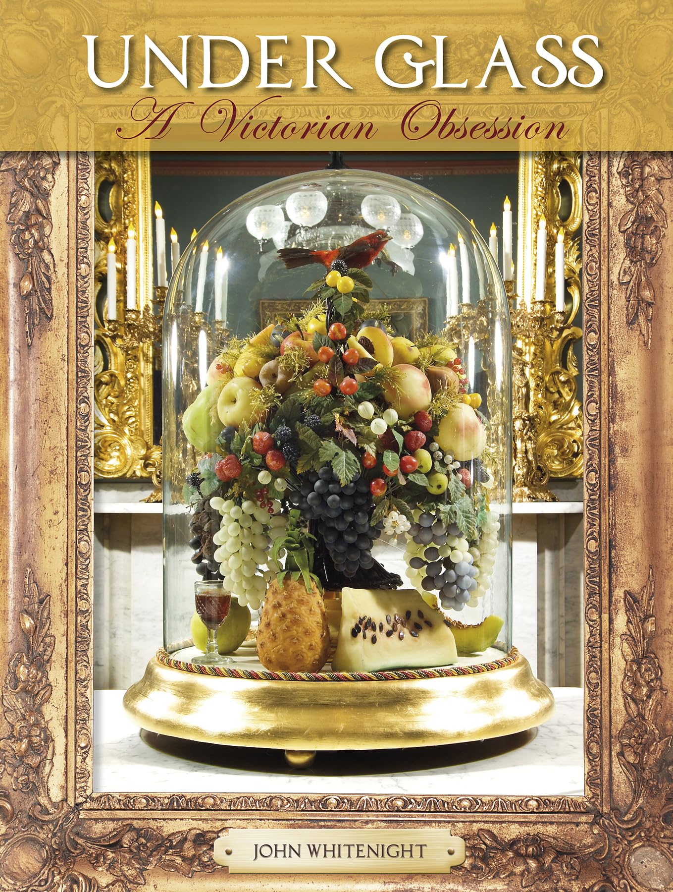 Under Glass: A Victorian Obsession used book depot