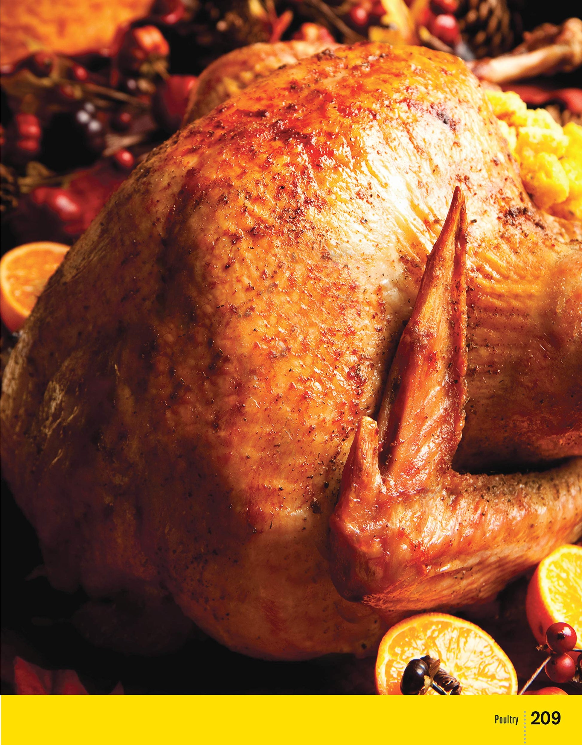 Char-Broil Great Book of Grilling: 300 Tasty Recipes for Every Meal: Delicious Appetizers, Meat, Veggies & More (Creative Homeowner) Over 300 Mouthwatering Photos & Easy-to-Make Recipes for Y used book depot