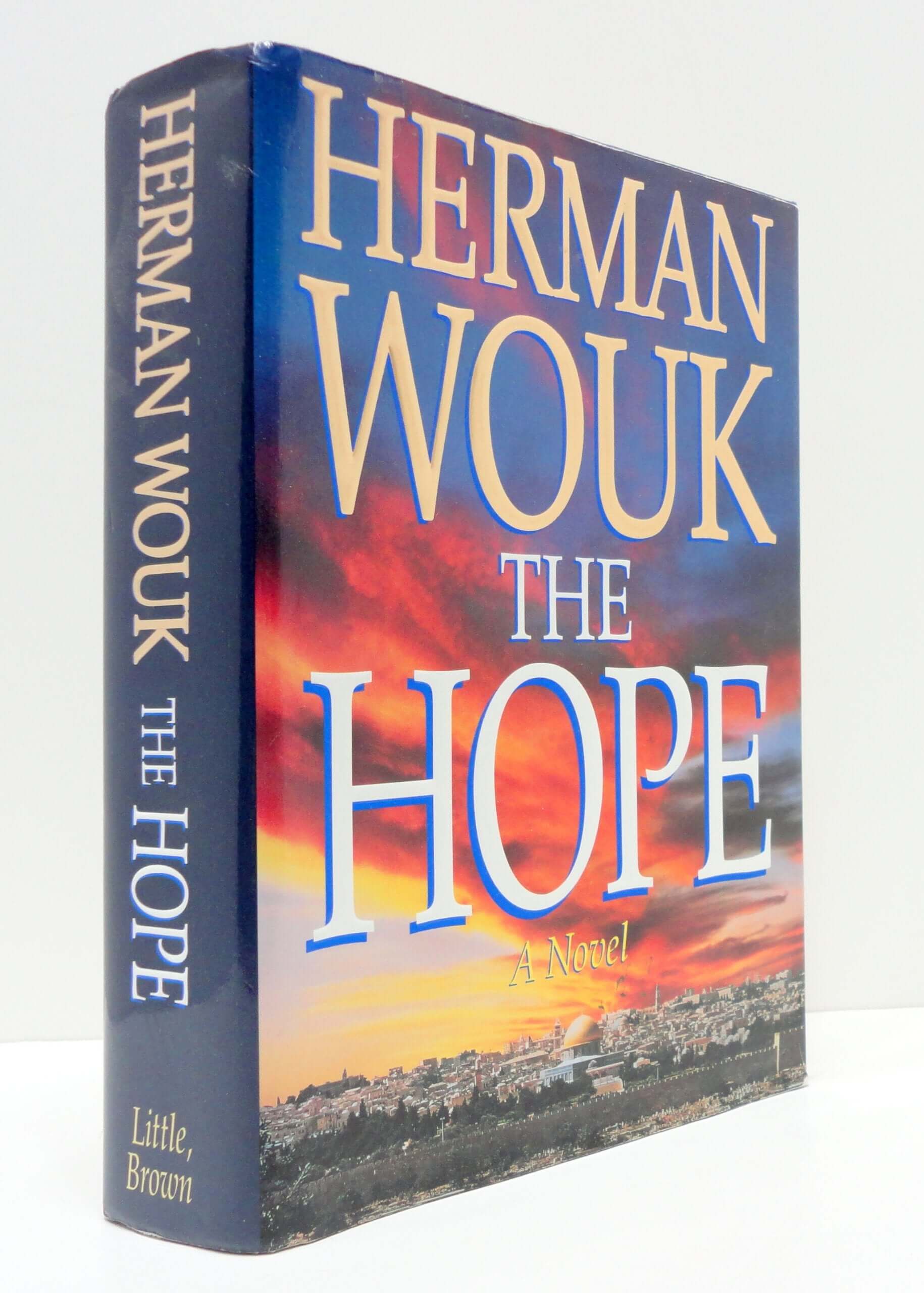 The Hope, A Novel used book depot