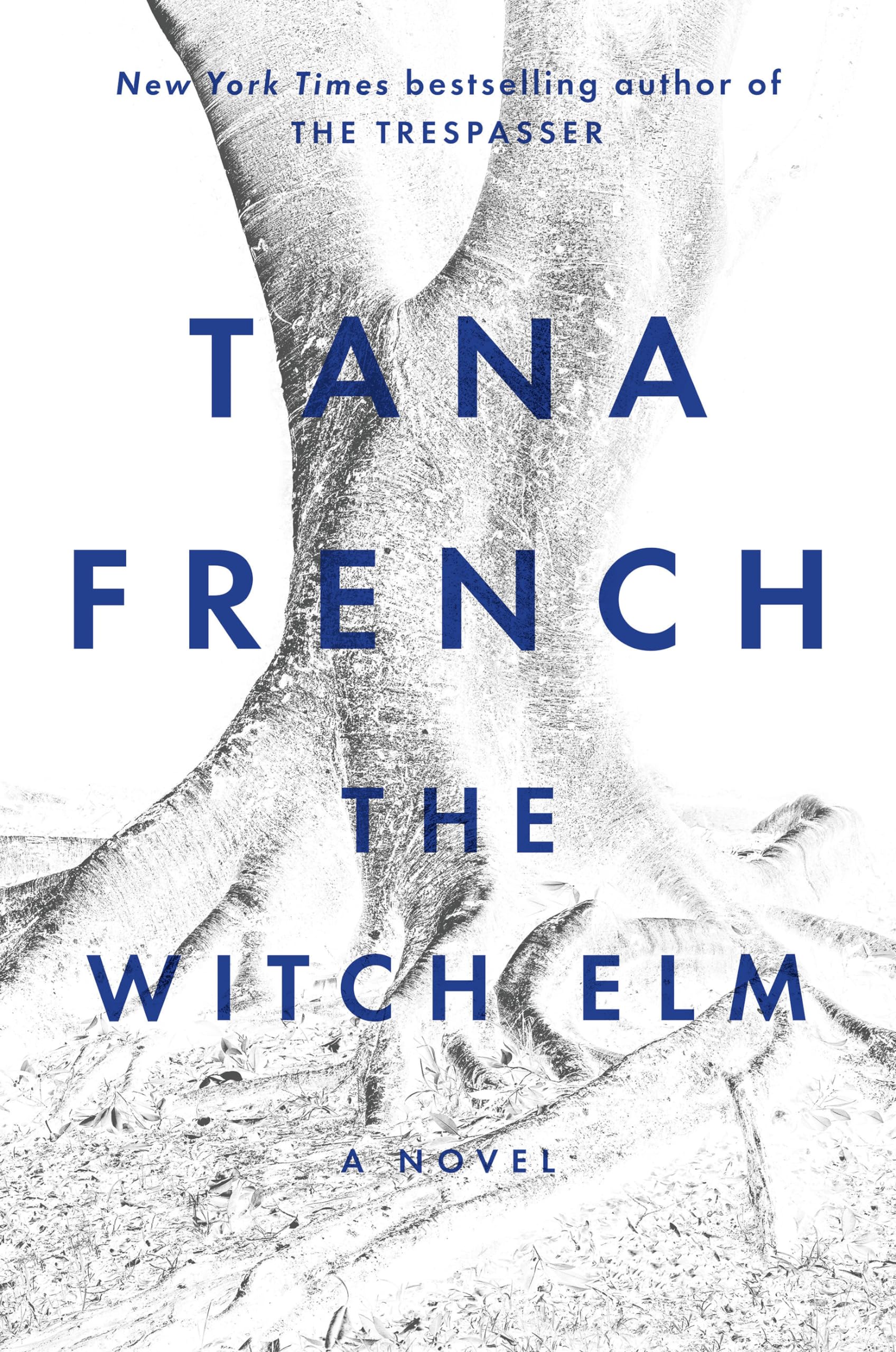 The Witch Elm: A Novel used book depot