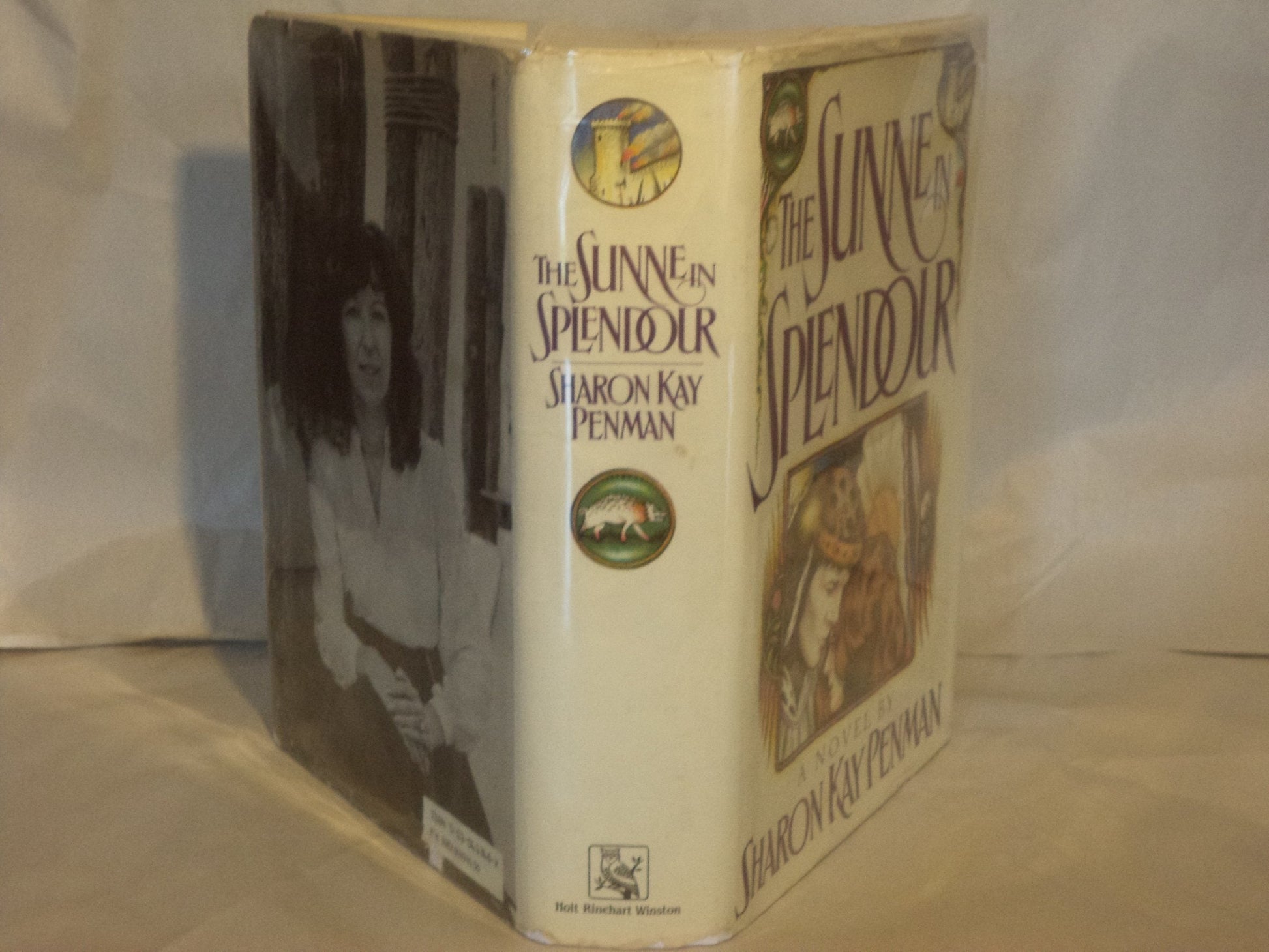 The Sunne in Splendour used book depot