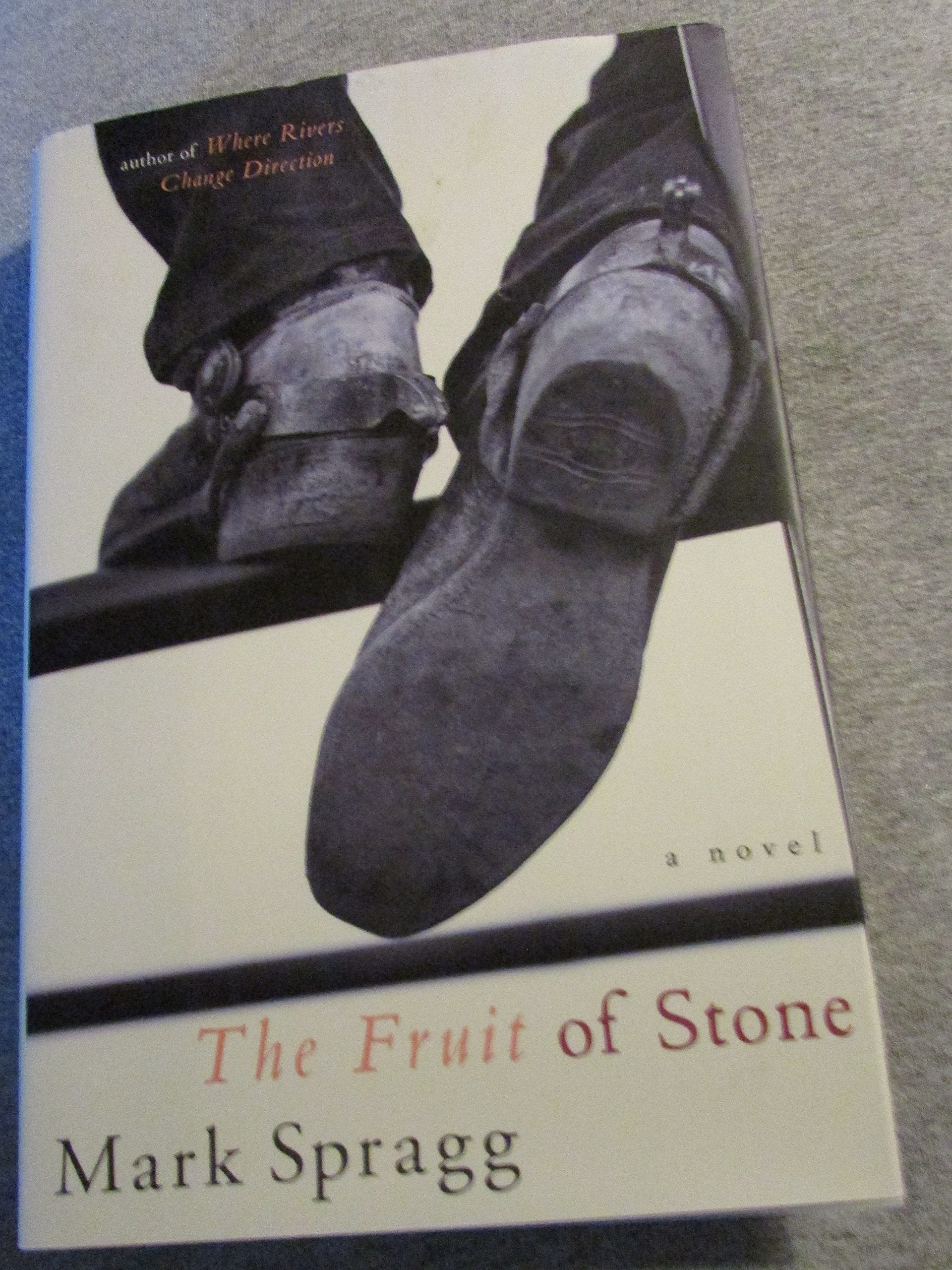 The Fruit of Stone used book depot