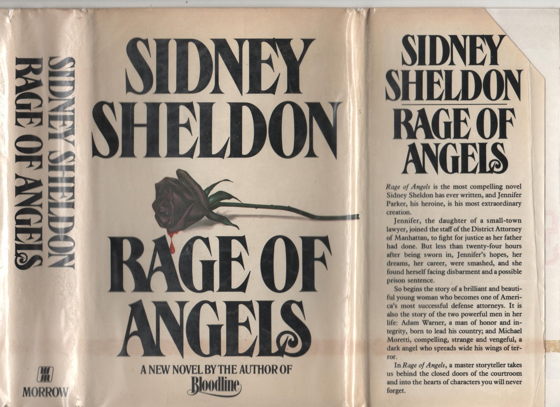 Rage of Angels used book depot