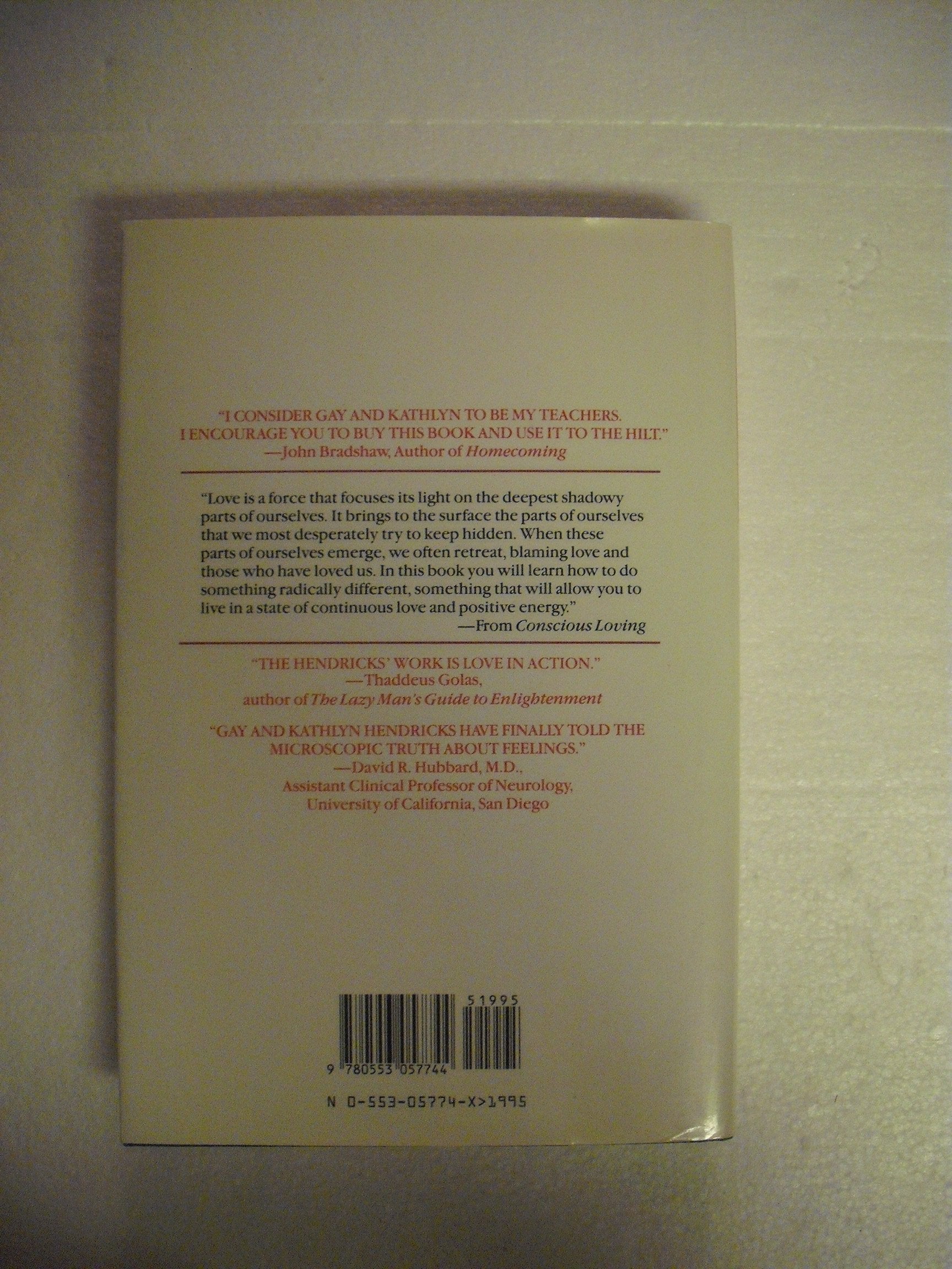 Conscious Loving: The Journey to Co-Commitment: A Way to Be Fully Together Without Giving Up Yourself used book depot