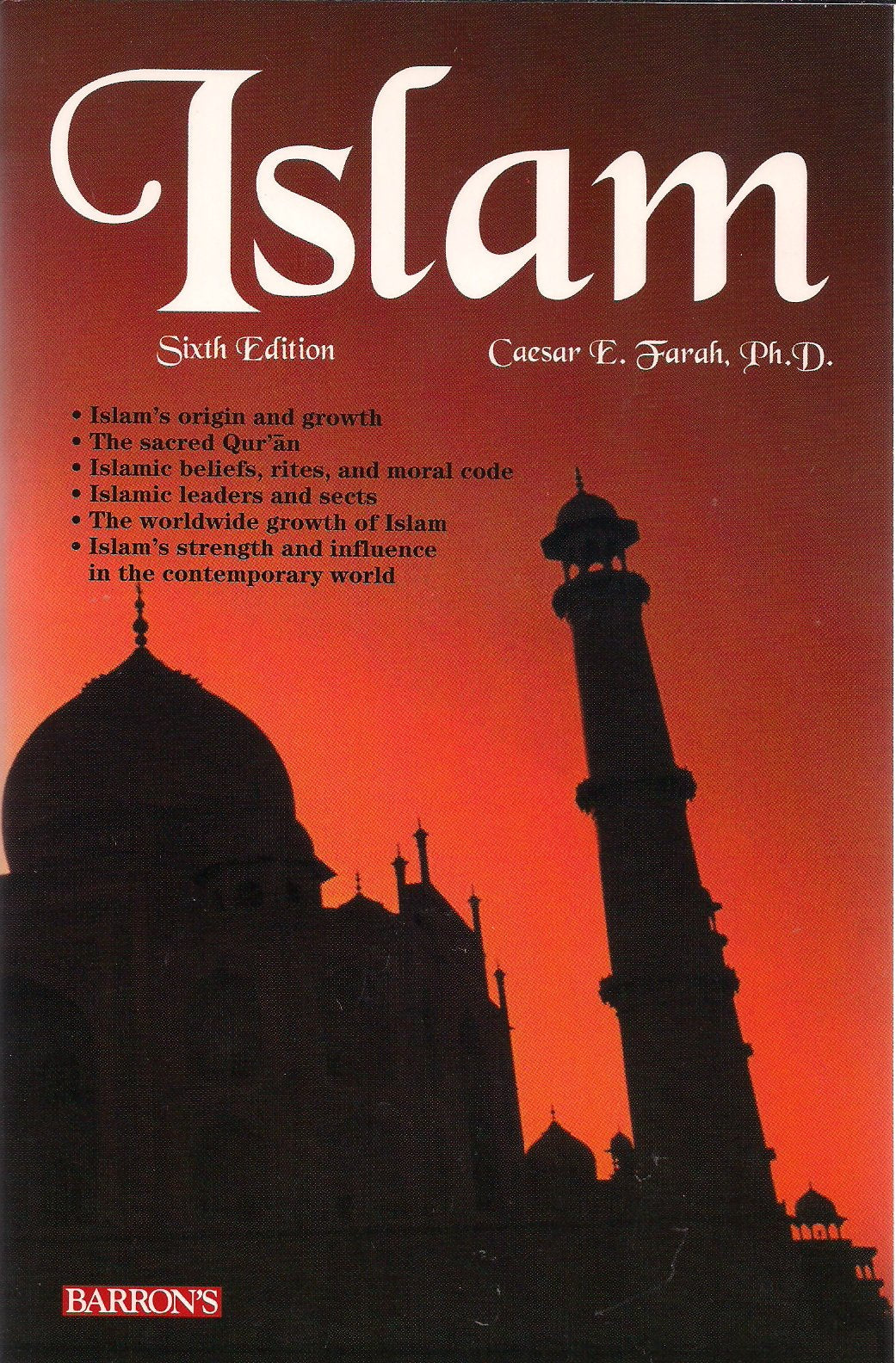 Islam: Beliefs and Observances used book depot