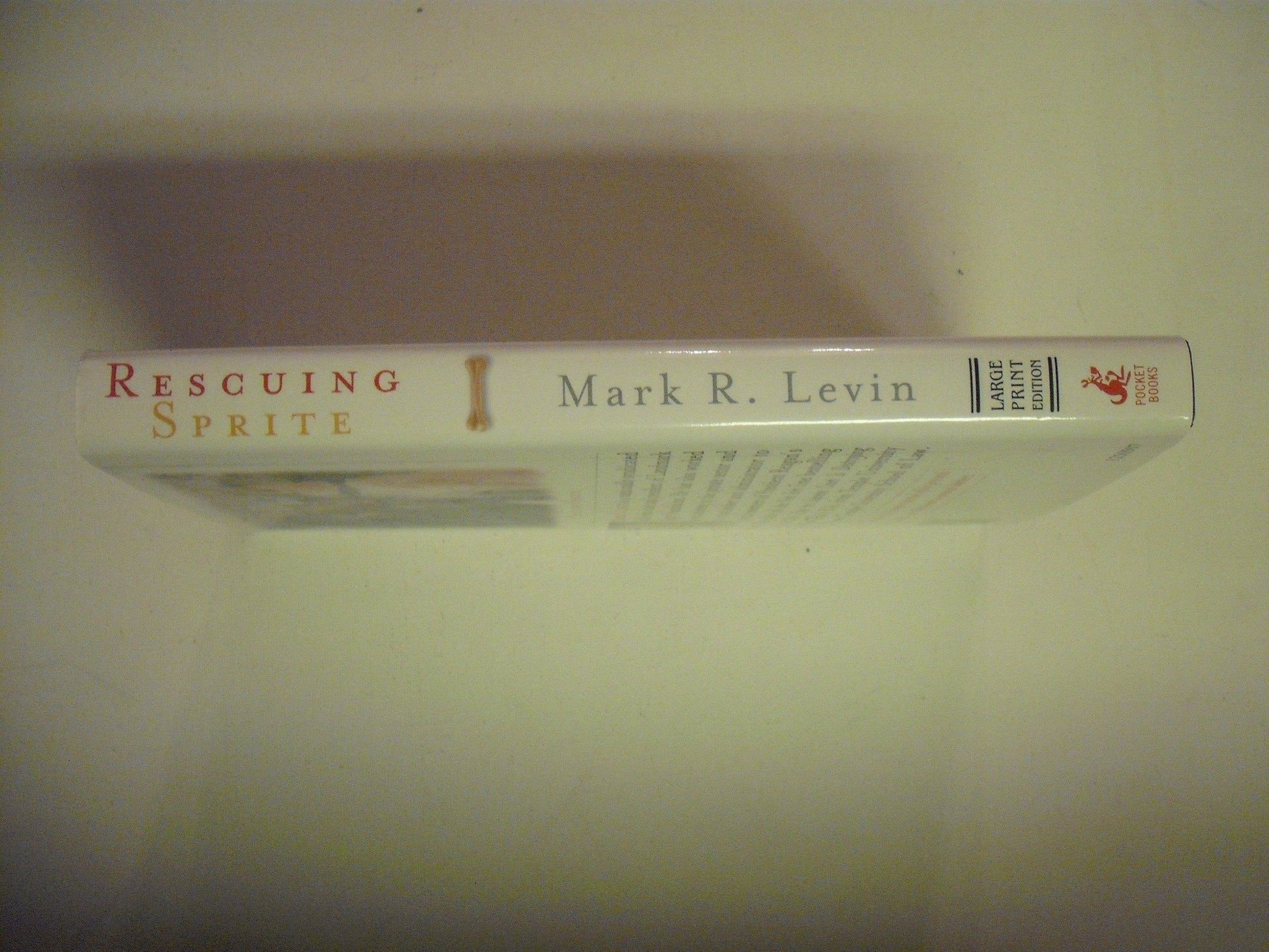 Rescuing Sprite: A Dog Lover's Story of Joy and Anguish used book depot