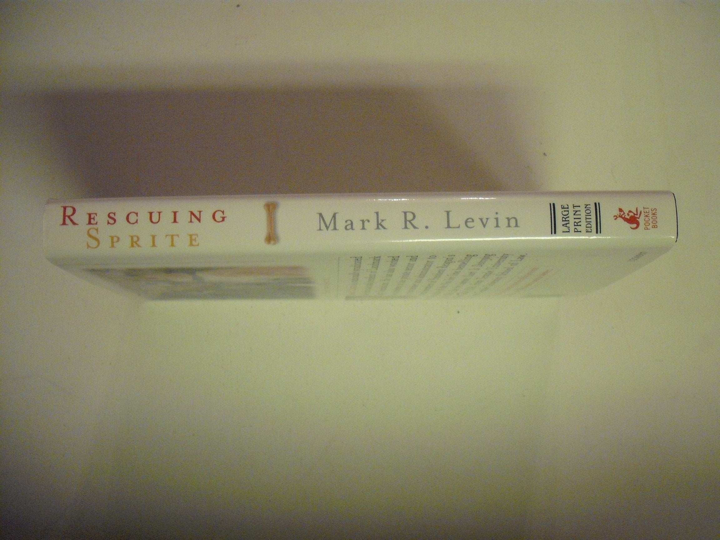 Rescuing Sprite: A Dog Lover's Story of Joy and Anguish used book depot