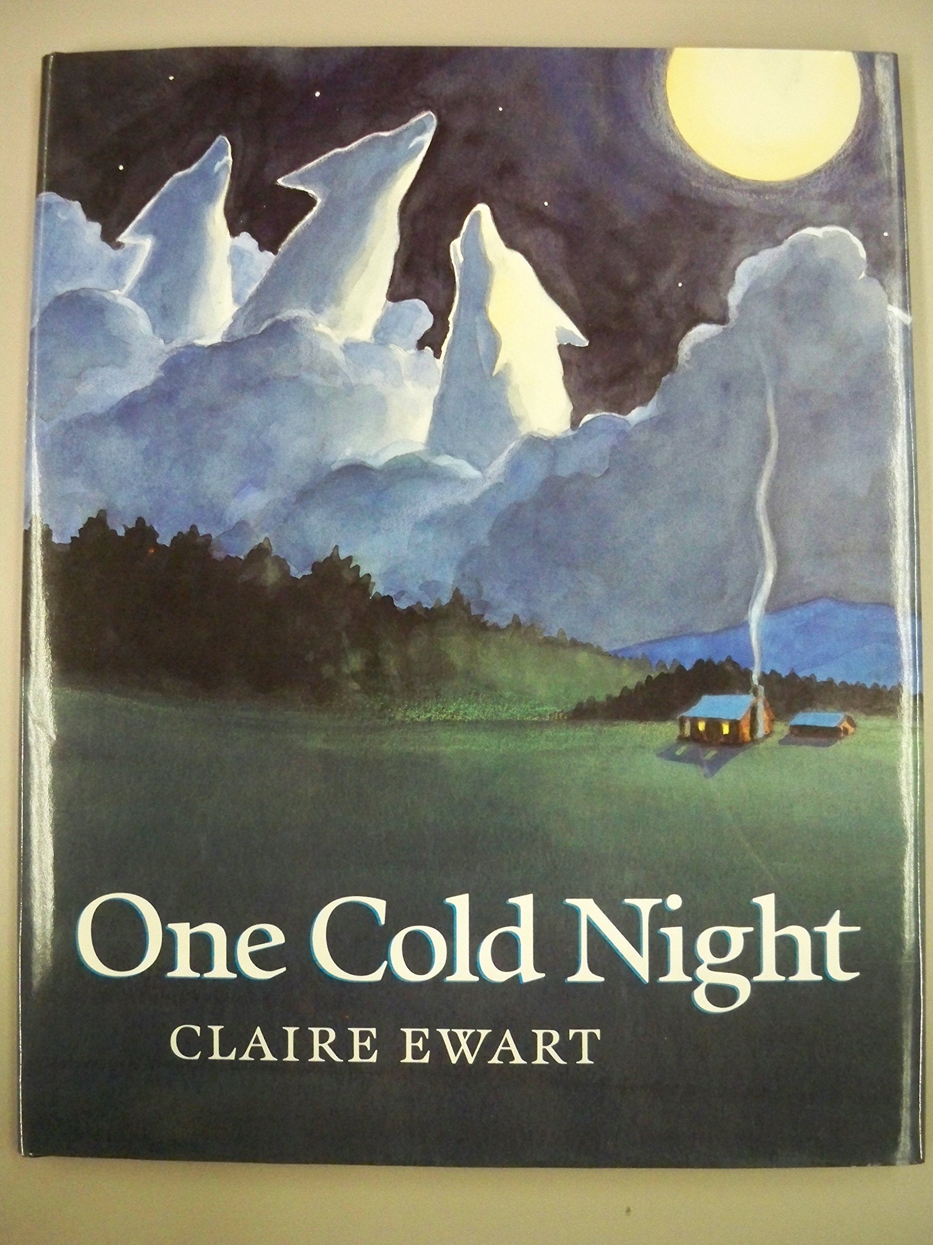 One Cold Night used book depot