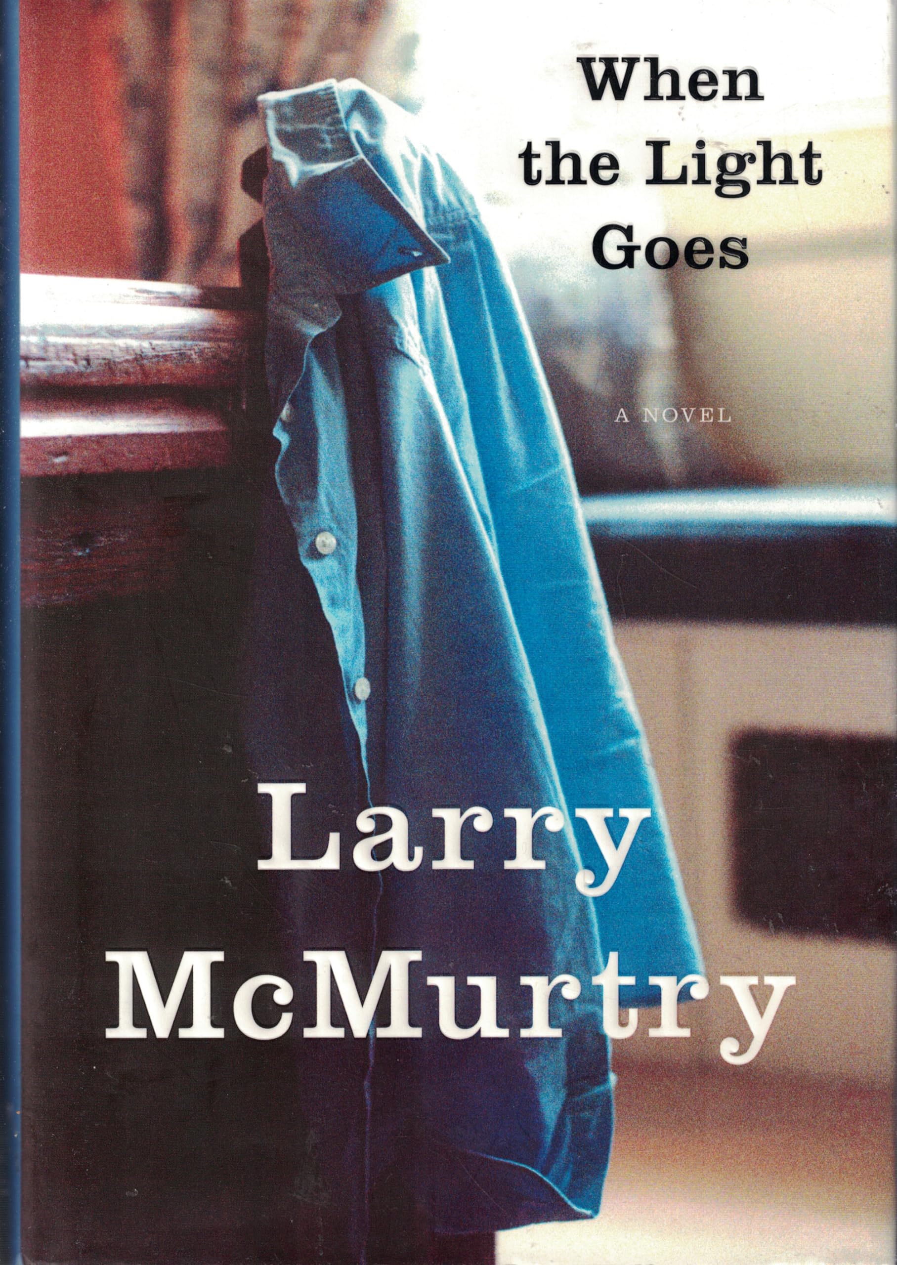 When the Light Goes: A Novel used book depot