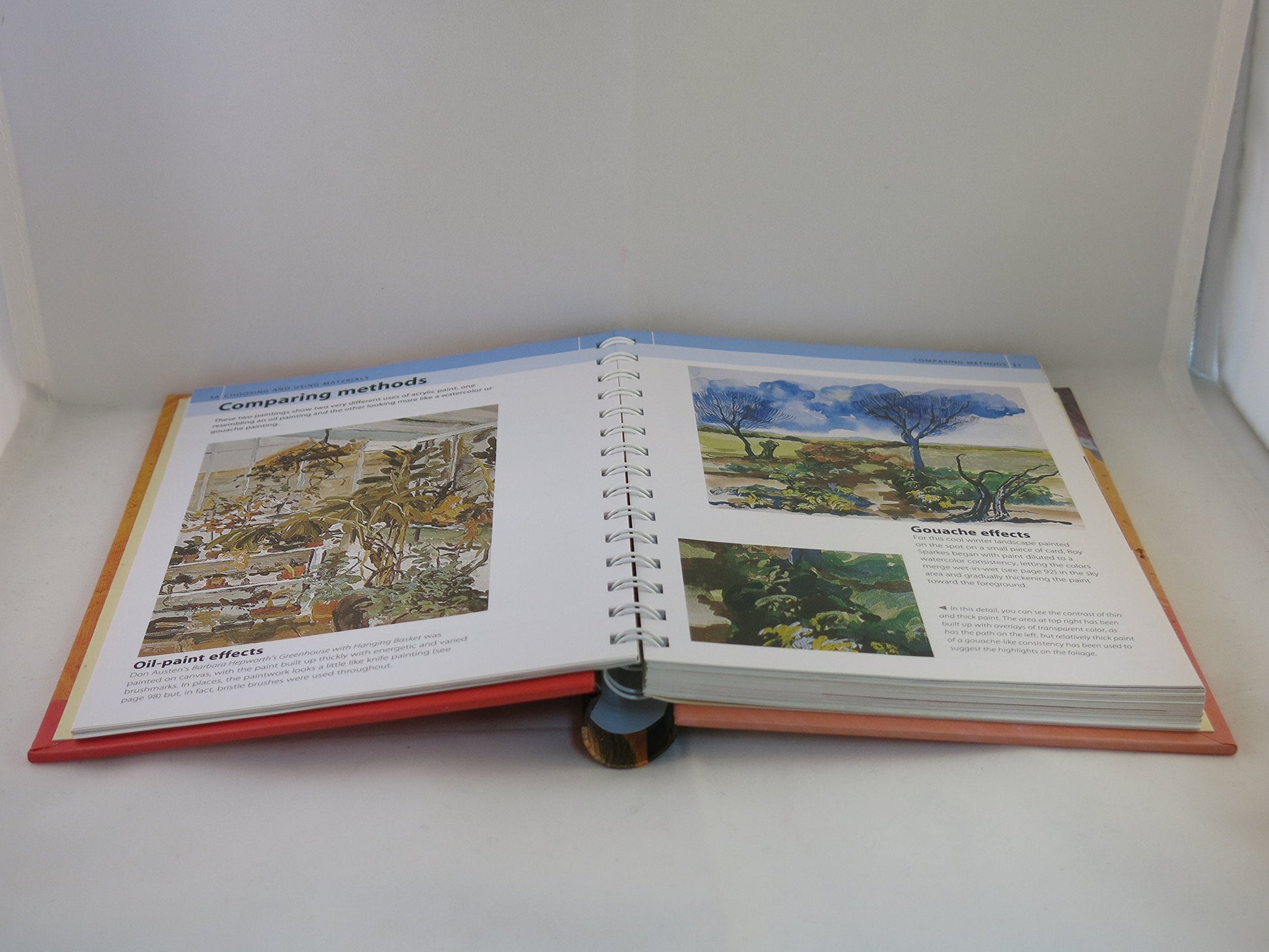 Acrylic Artist's Bible (Artist's Bibles) used book depot