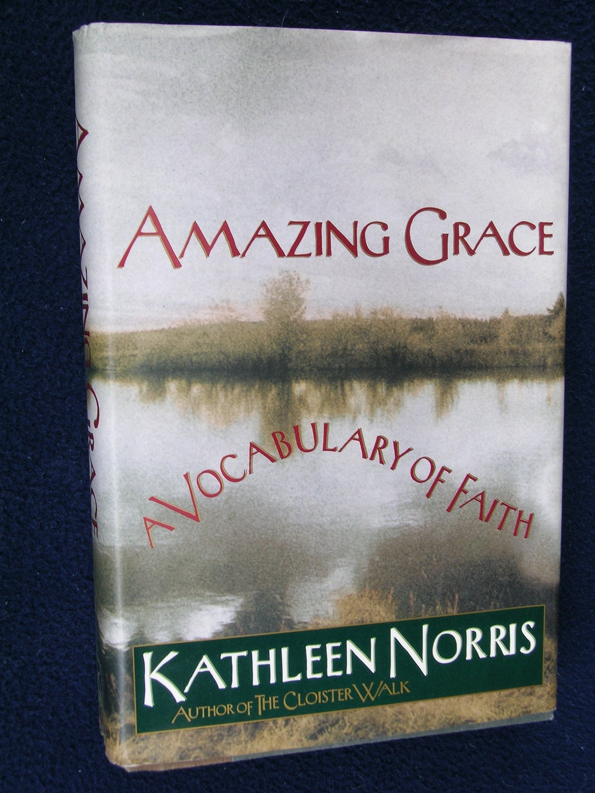 Amazing Grace: A Vocabulary of Faith used book depot