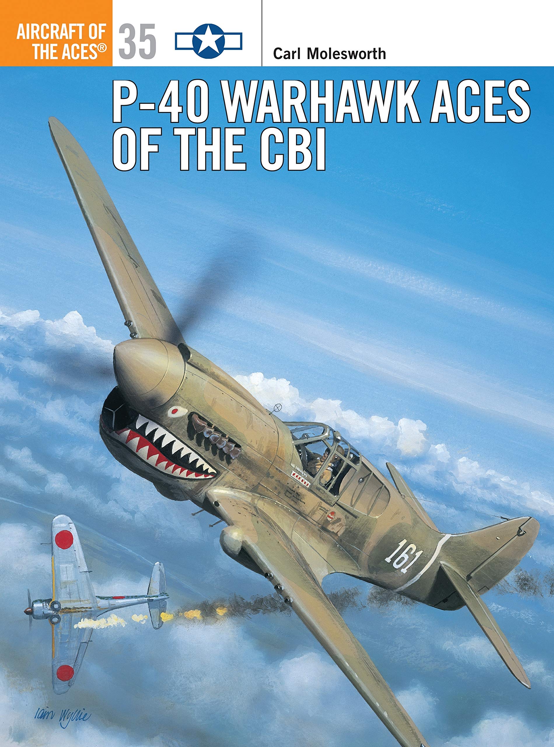 P-40 Warhawk Aces of the CBI (Osprey Aircraft of the Aces No 35) (Aircraft of the Aces, 35) used book depot