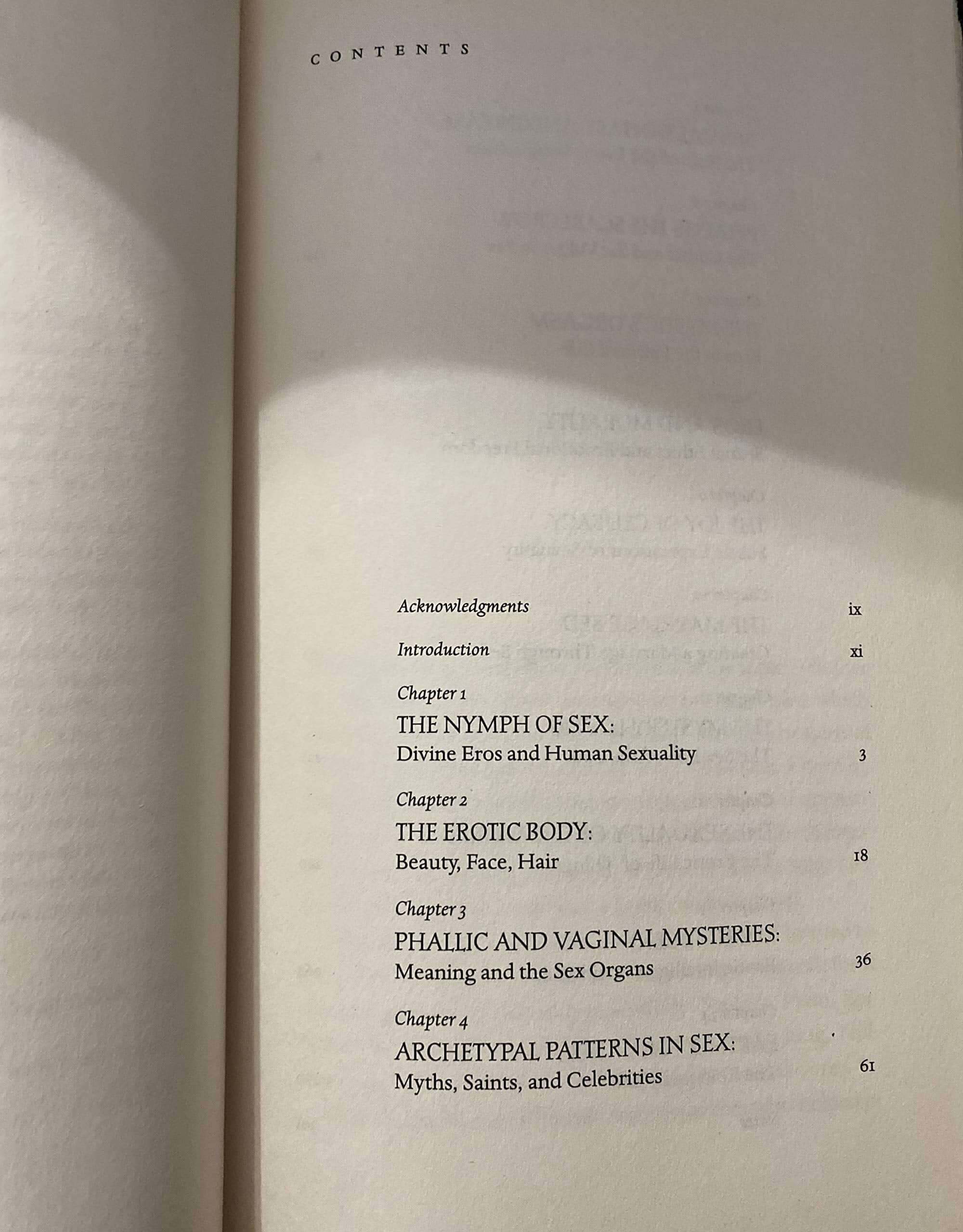 The Soul of Sex: Cultivating Life as an Act of Love used book depot