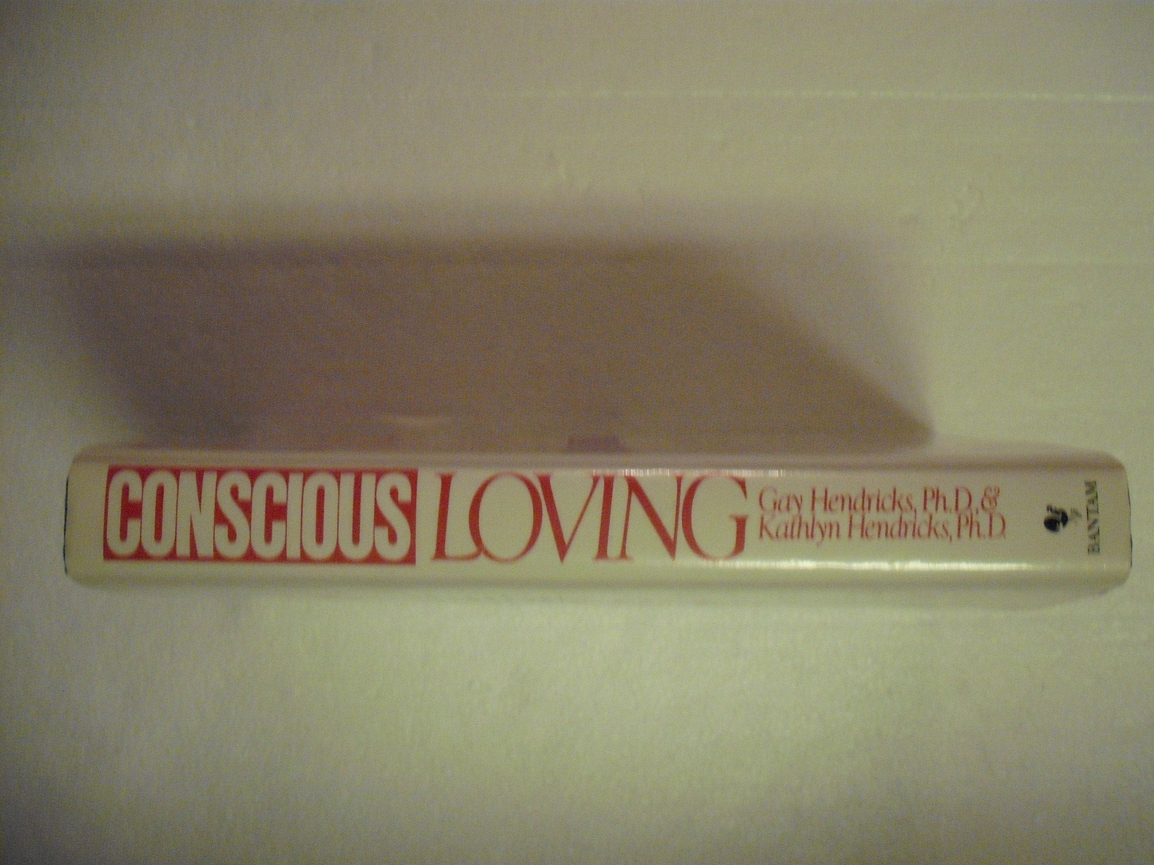Conscious Loving: The Journey to Co-Commitment: A Way to Be Fully Together Without Giving Up Yourself used book depot