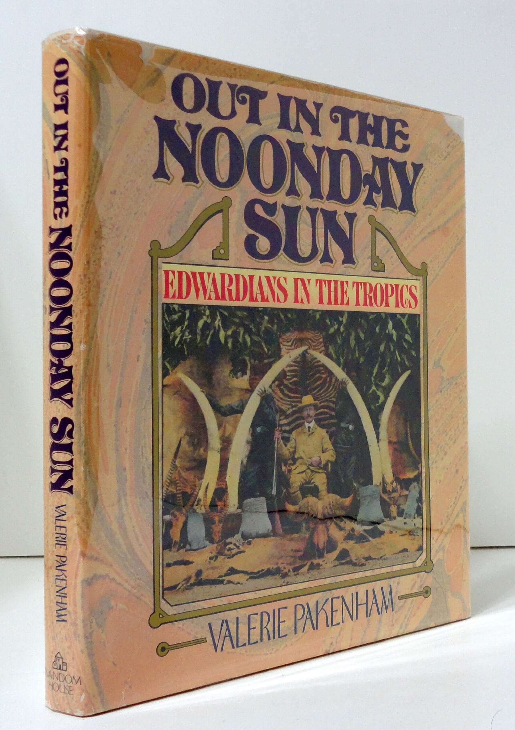 Out in the Noonday Sun used book depot