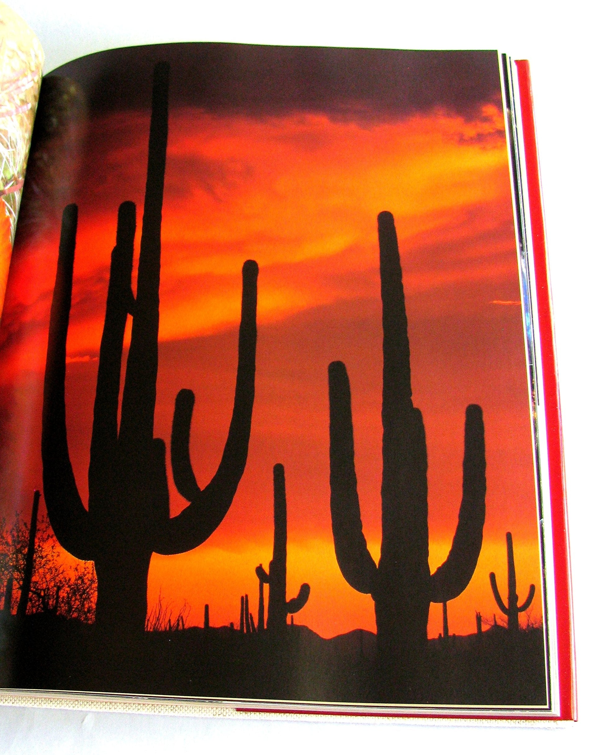 Arizona Landmarks used book depot