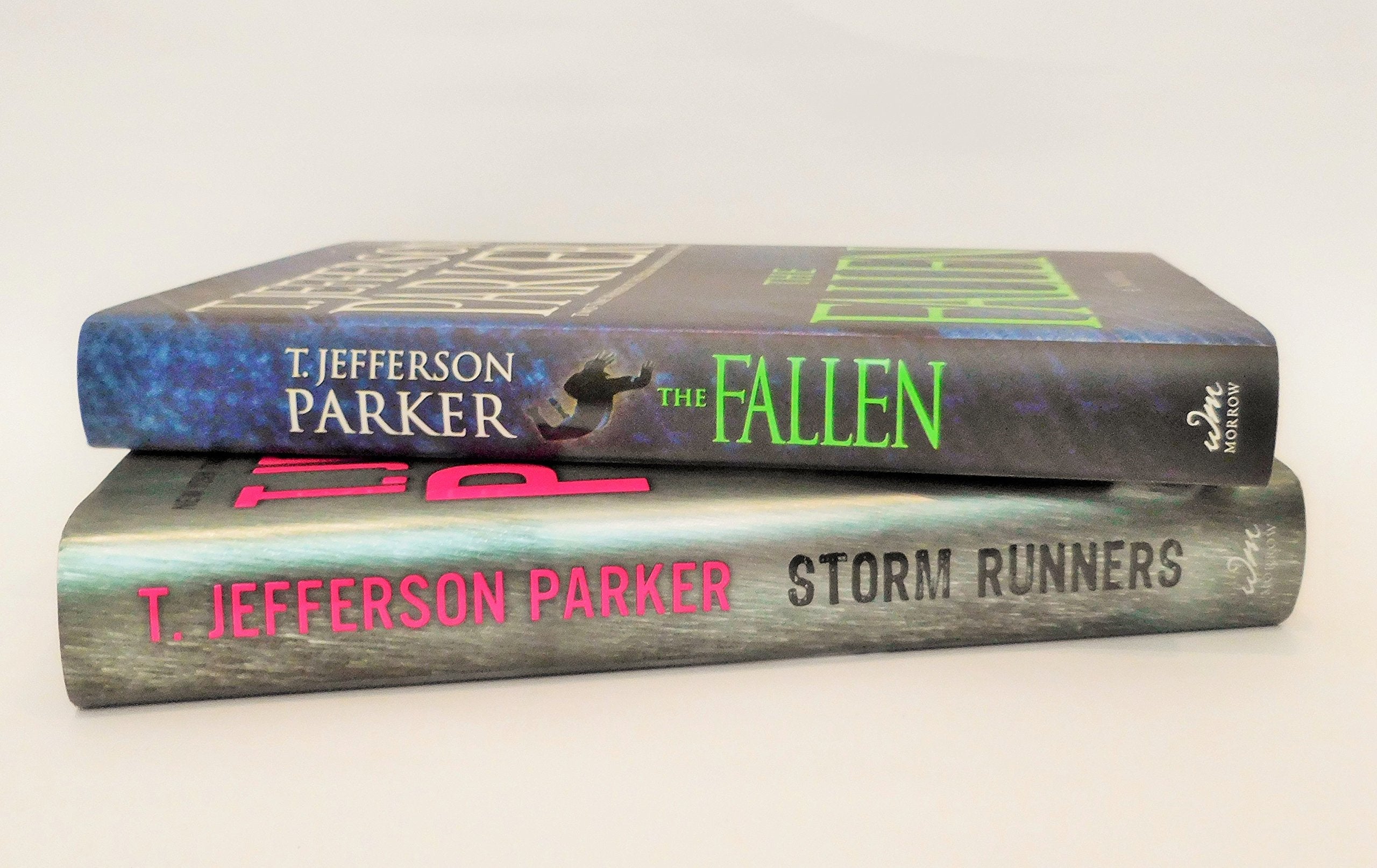 Storm Runners: A Novel used book depot