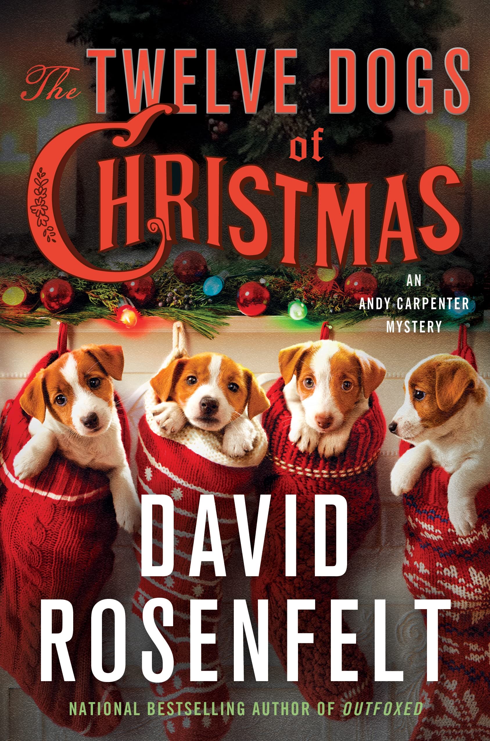 The Twelve Dogs of Christmas: An Andy Carpenter Mystery (An Andy Carpenter Novel, 16) used book depot