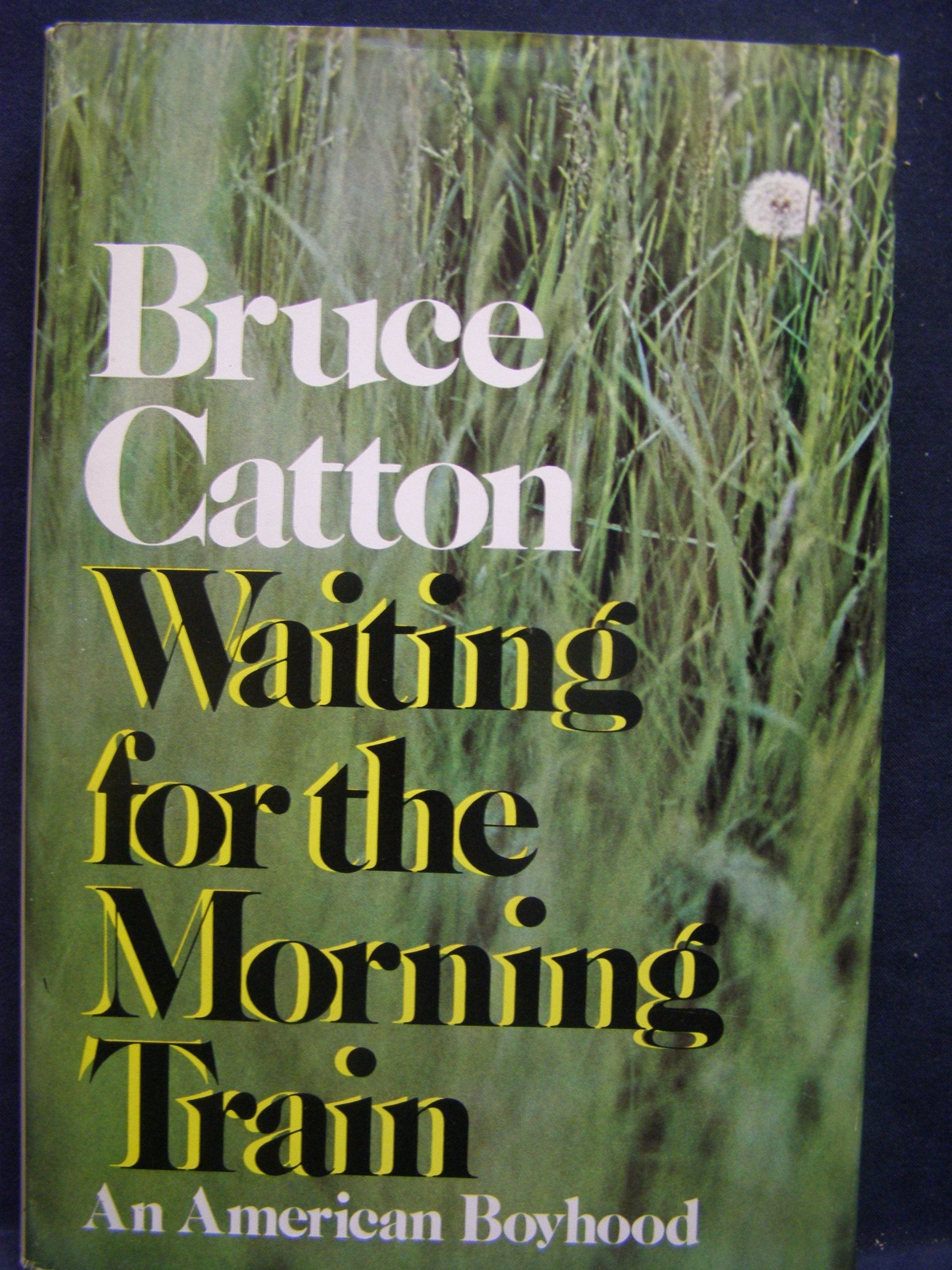 Waiting for the Morning Train : An American Boyhood used book depot